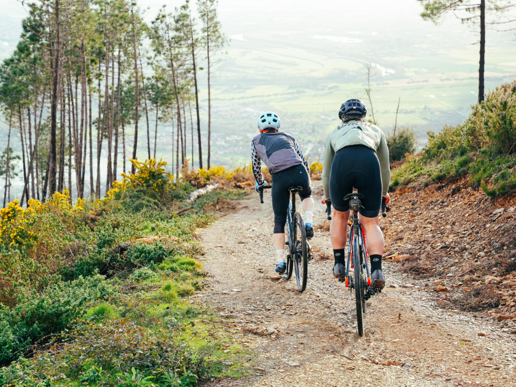 Cycling in the Terre di Pisa area