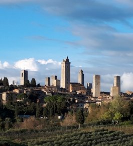 Guided tour in the center of San Gimignano