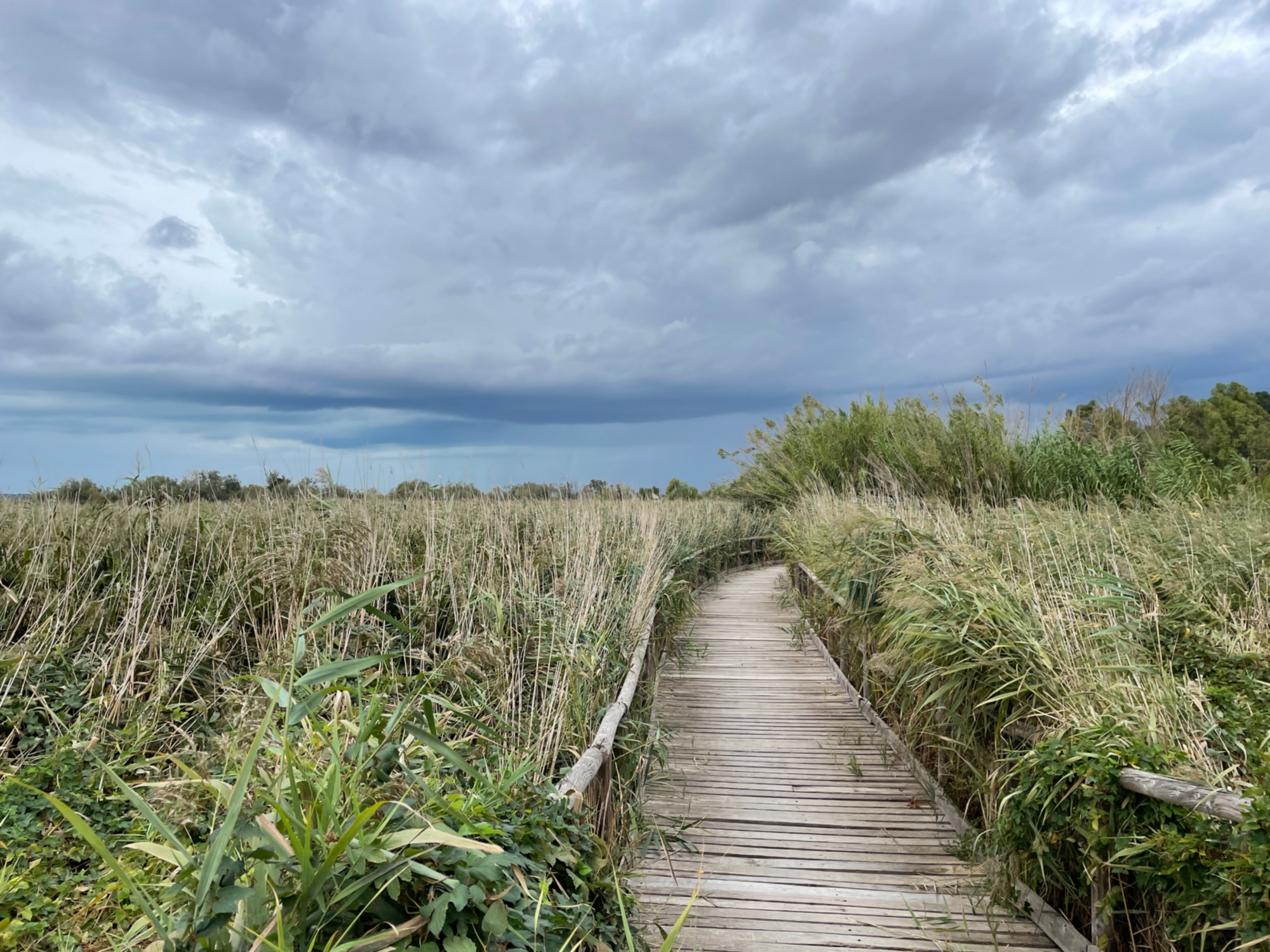 Viareggio