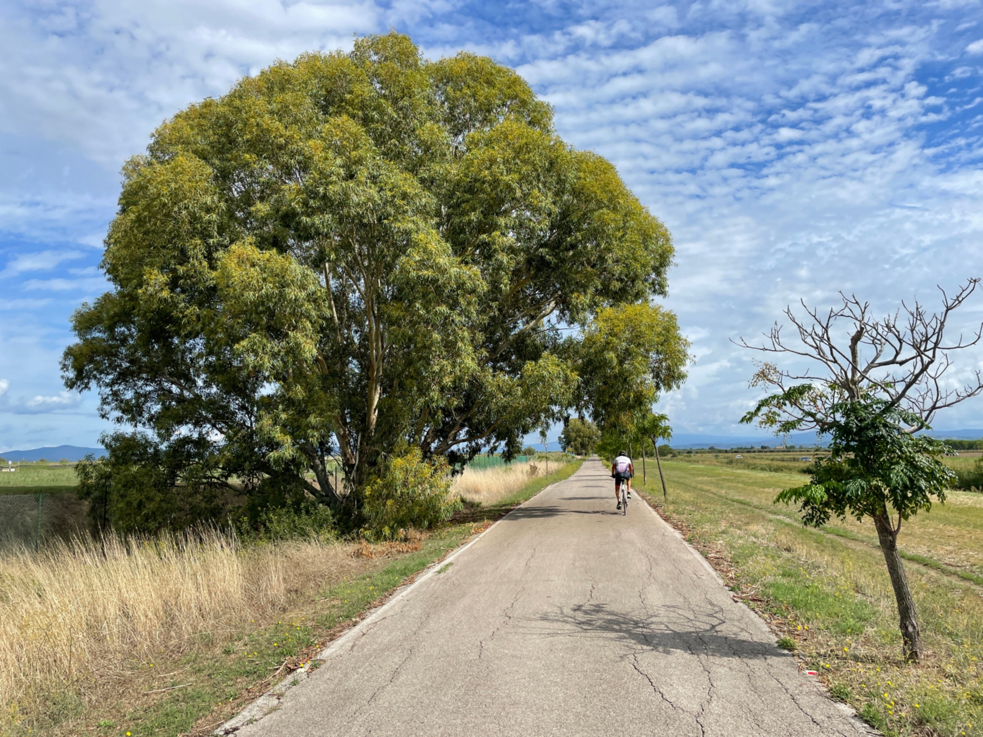 À vélo le long de la Via della Costa