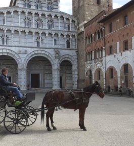 Aperitivo in carrozza a Lucca