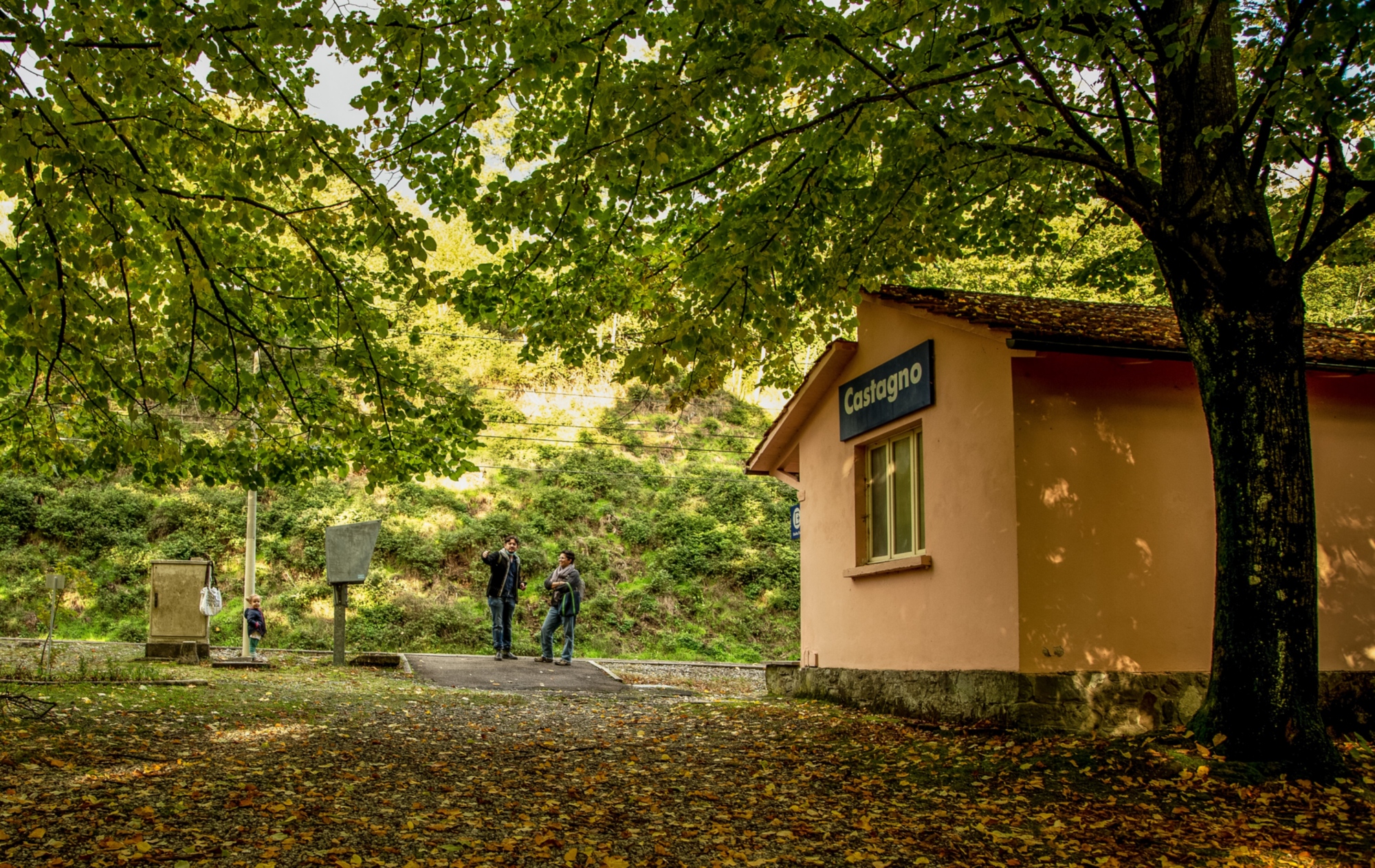Châtaigne de Piteccio
