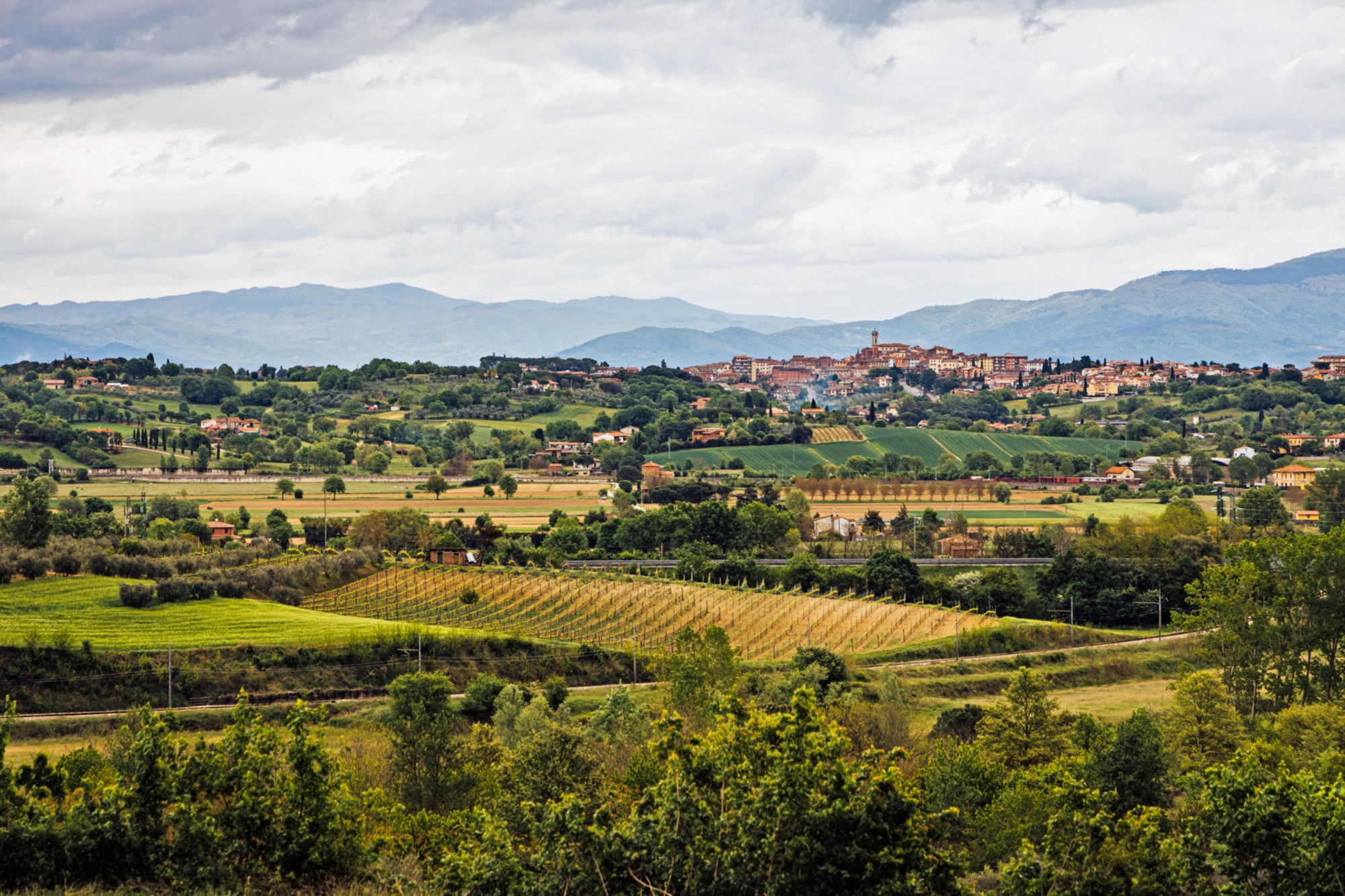 Percorso delle Bonifiche