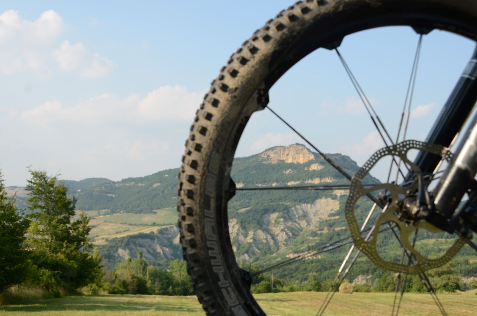 Roue de vélo