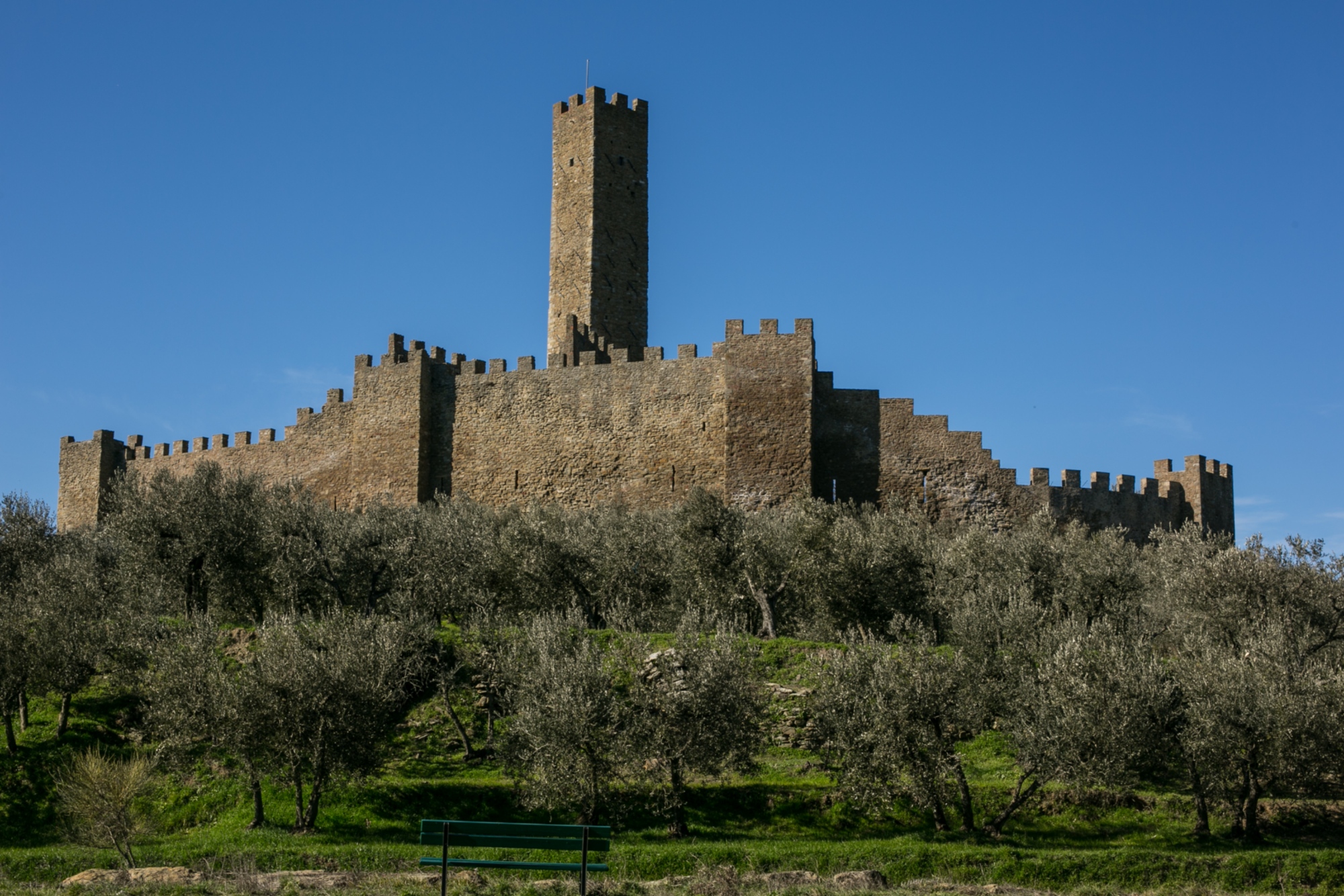 il Castello di Montecchio Vesponi