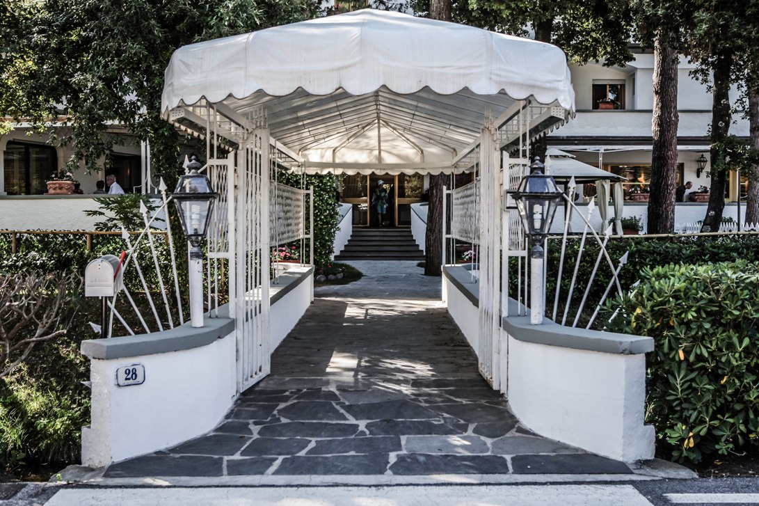 The entrance with stairs, surrounded by plants