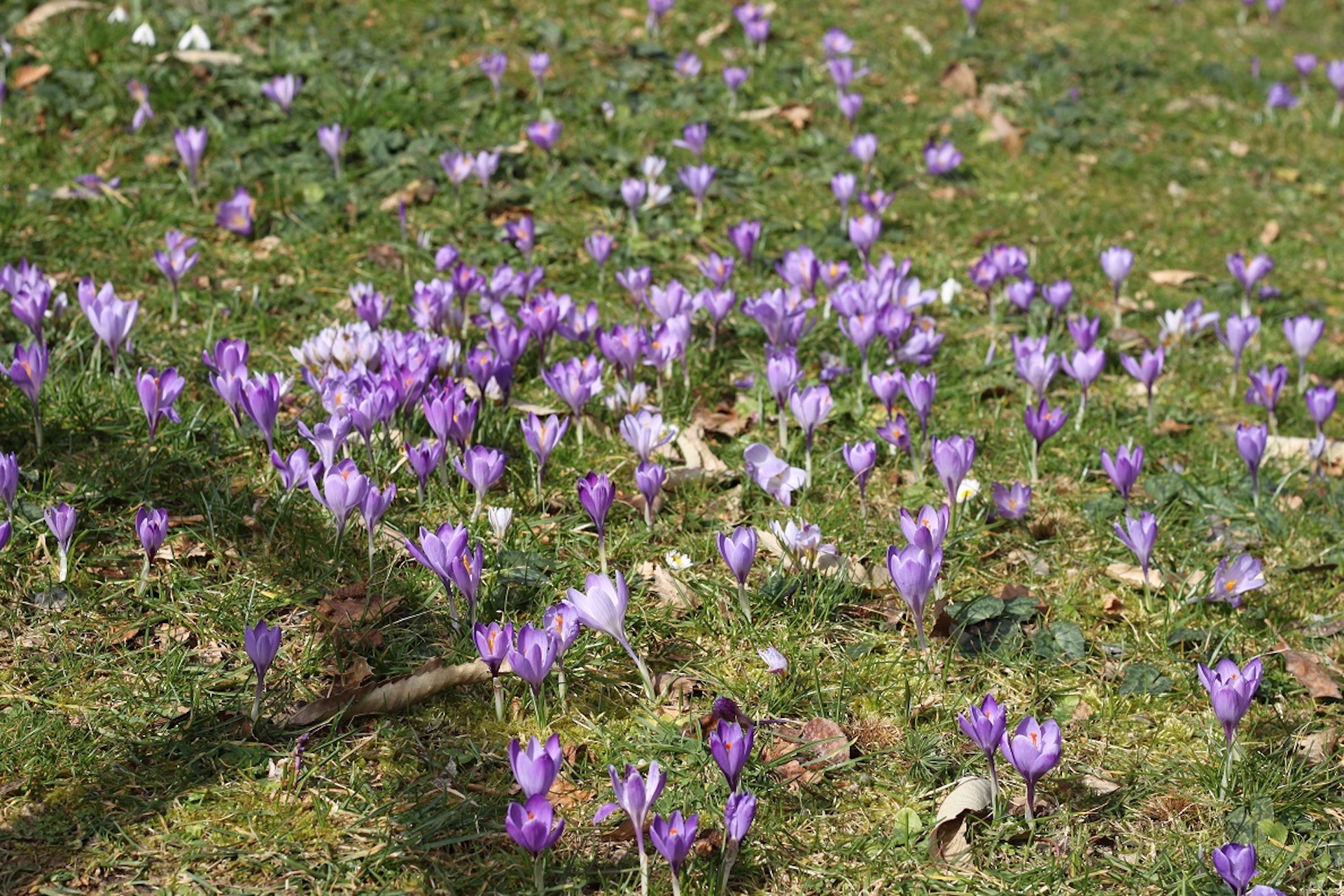 réserve naturelle Monte Penna