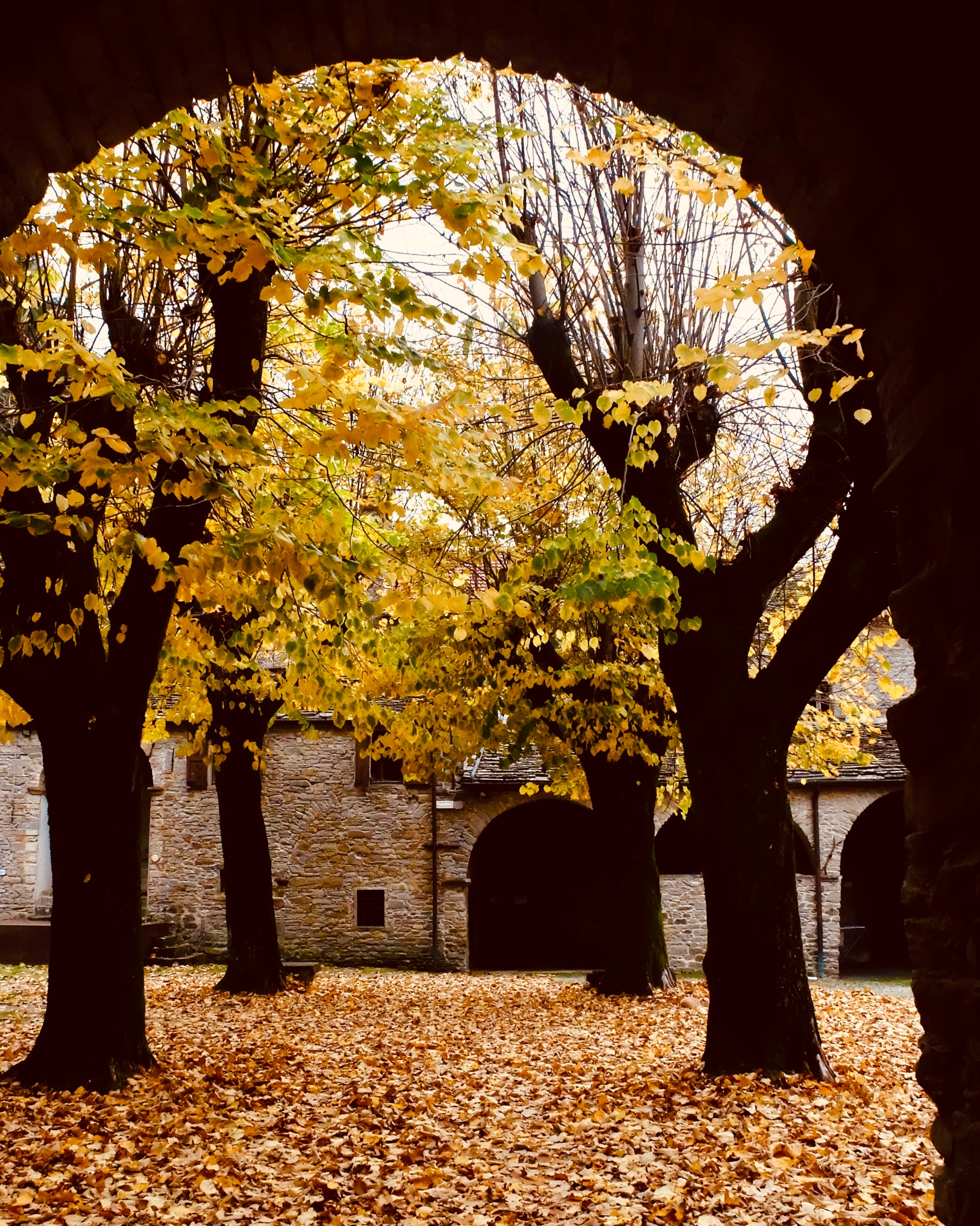 Abbaye de Moscheta