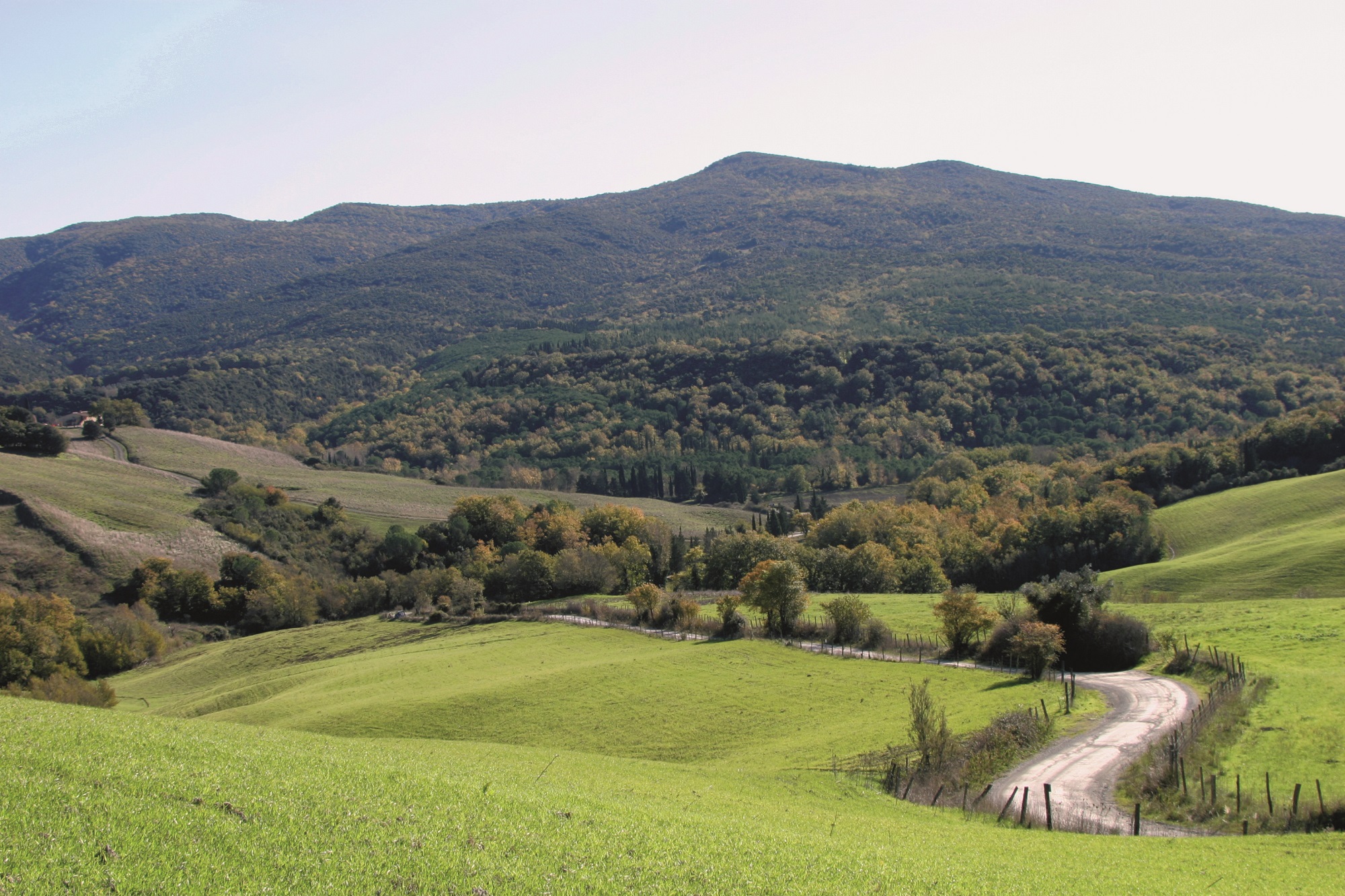 Réserve naturelle de Berignone