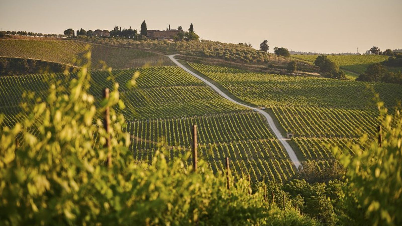 Bike Chianti tour