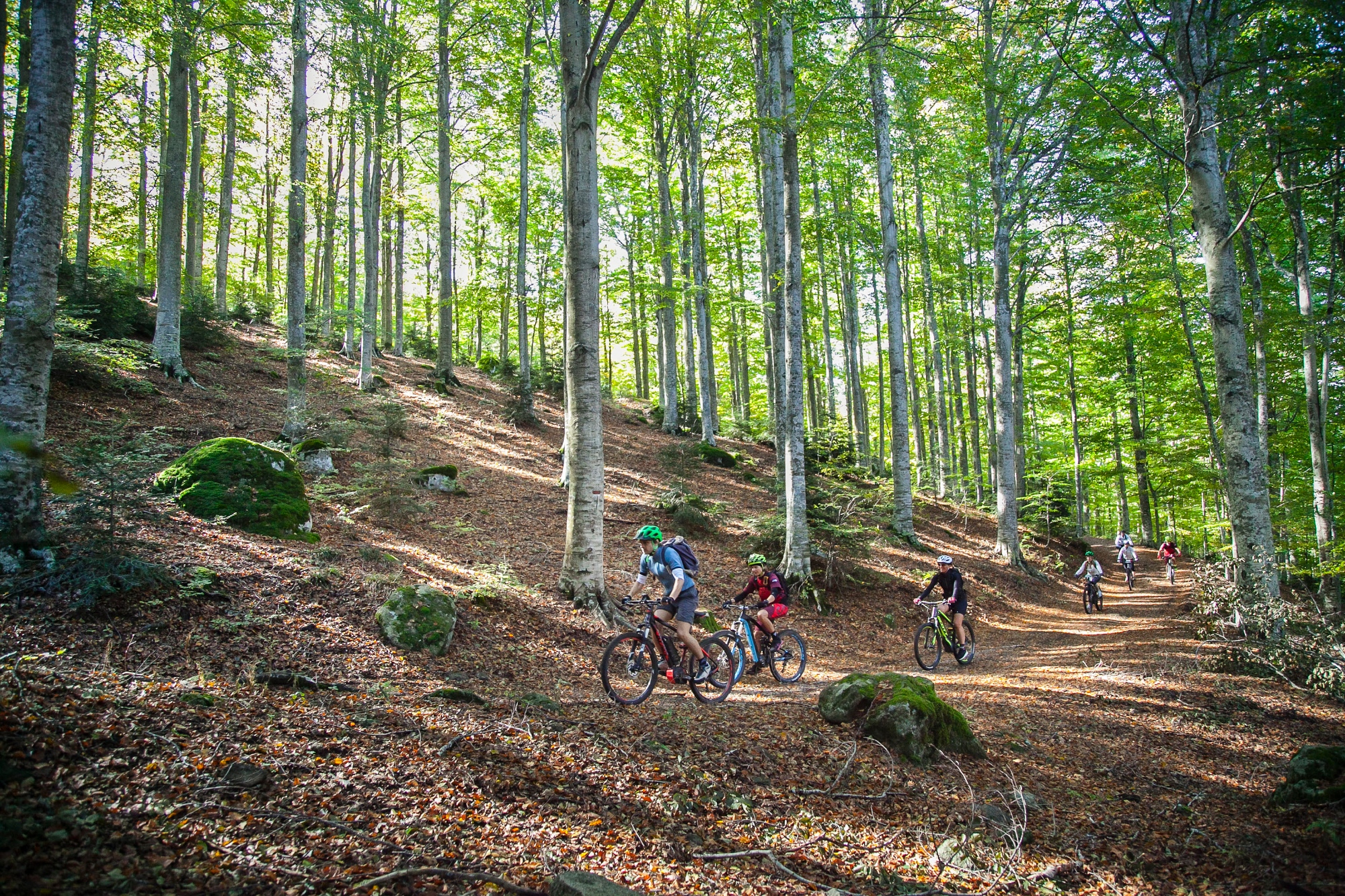 Piste cyclable de l'anneau du Mont Amiata, Toscane