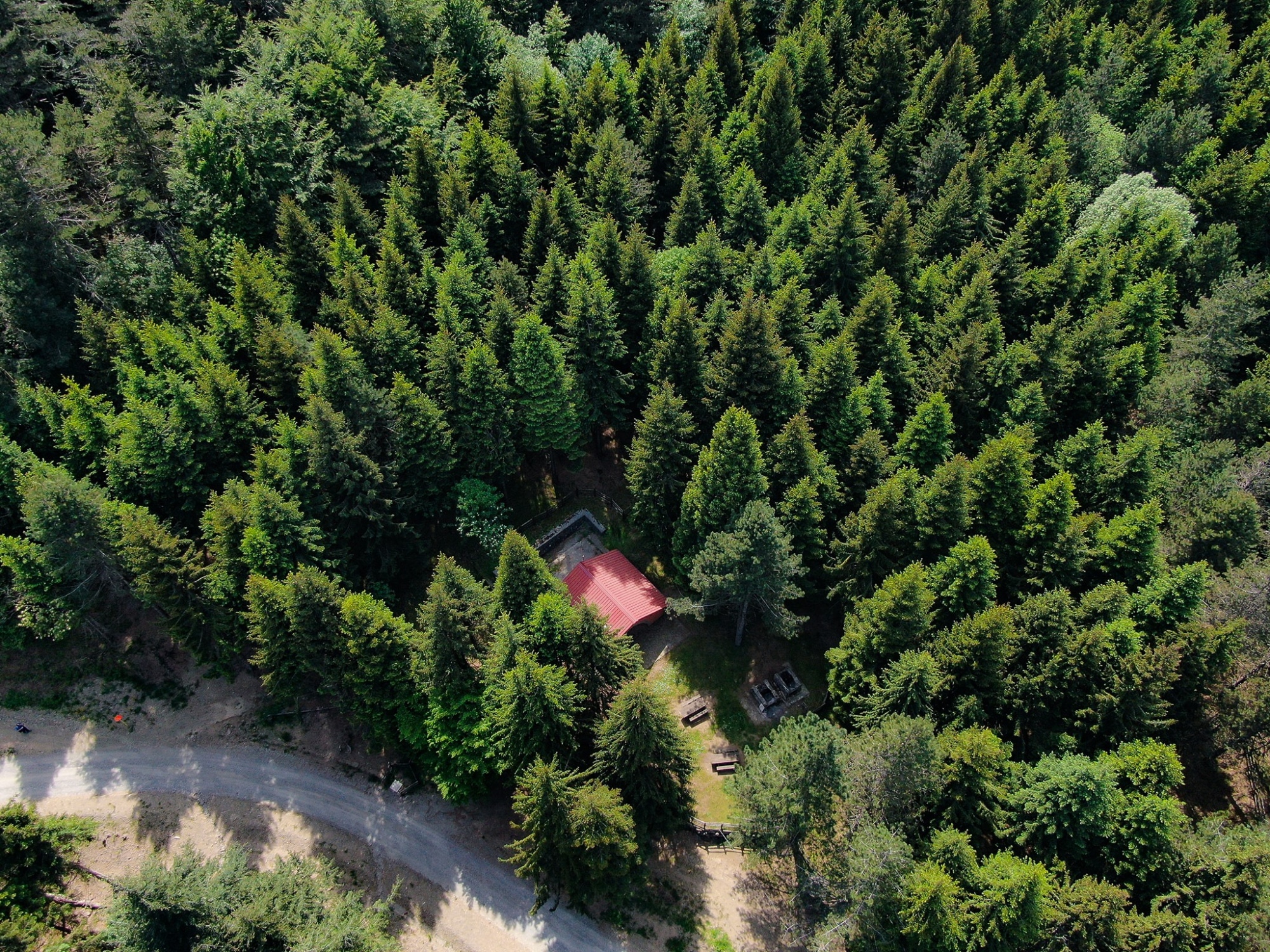 Vue aérienne sur la forêt de Brattello