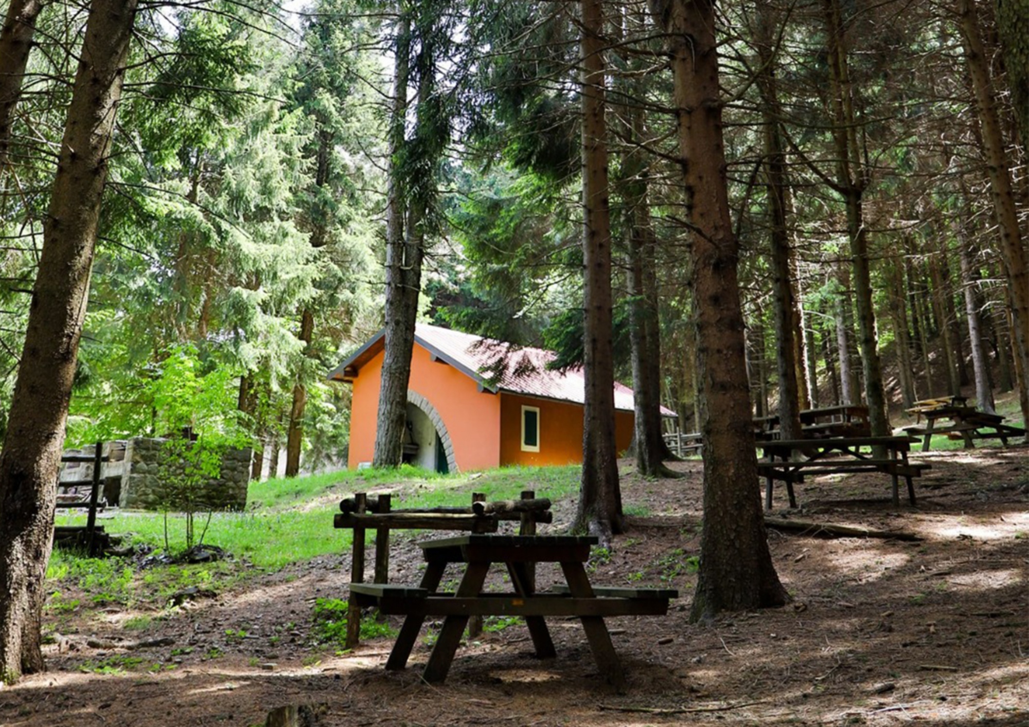 Zone équipée au cœur de la forêt de Brattello