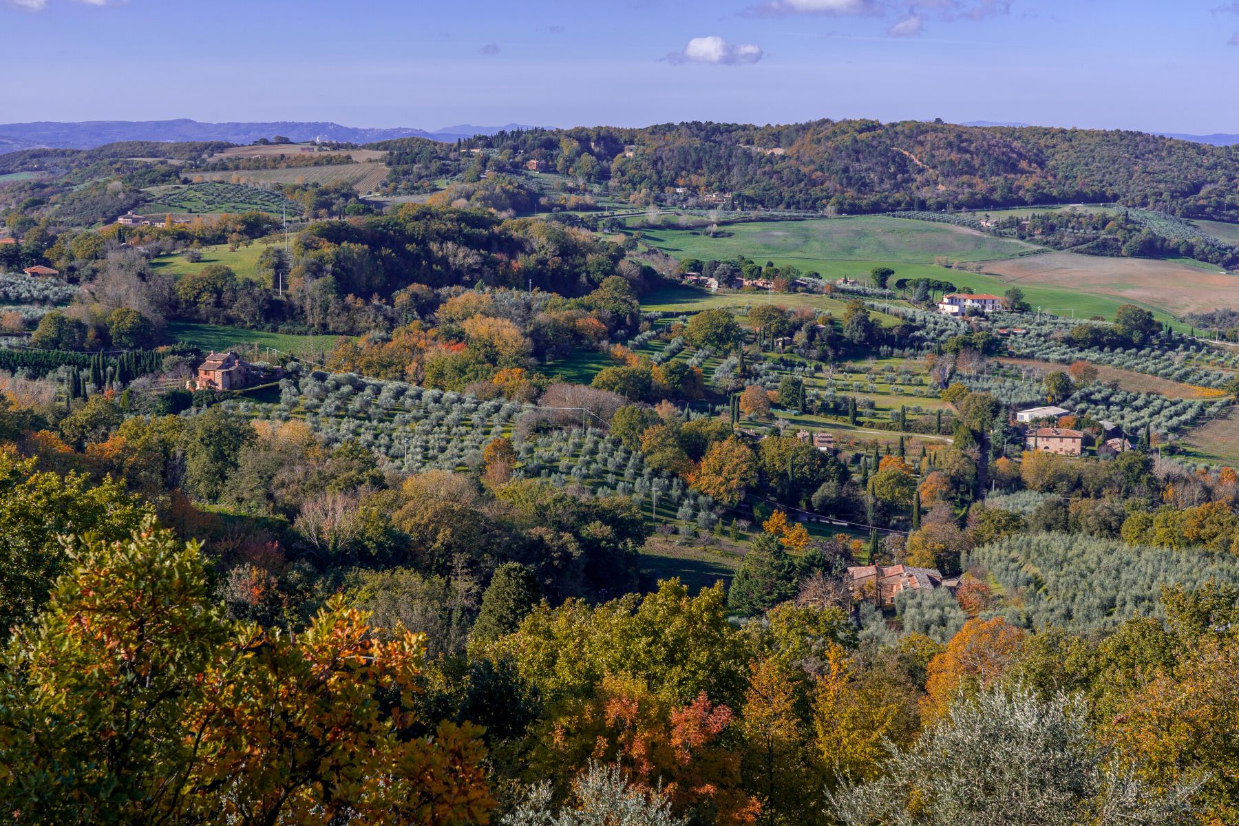 La campagne de Montepulciano