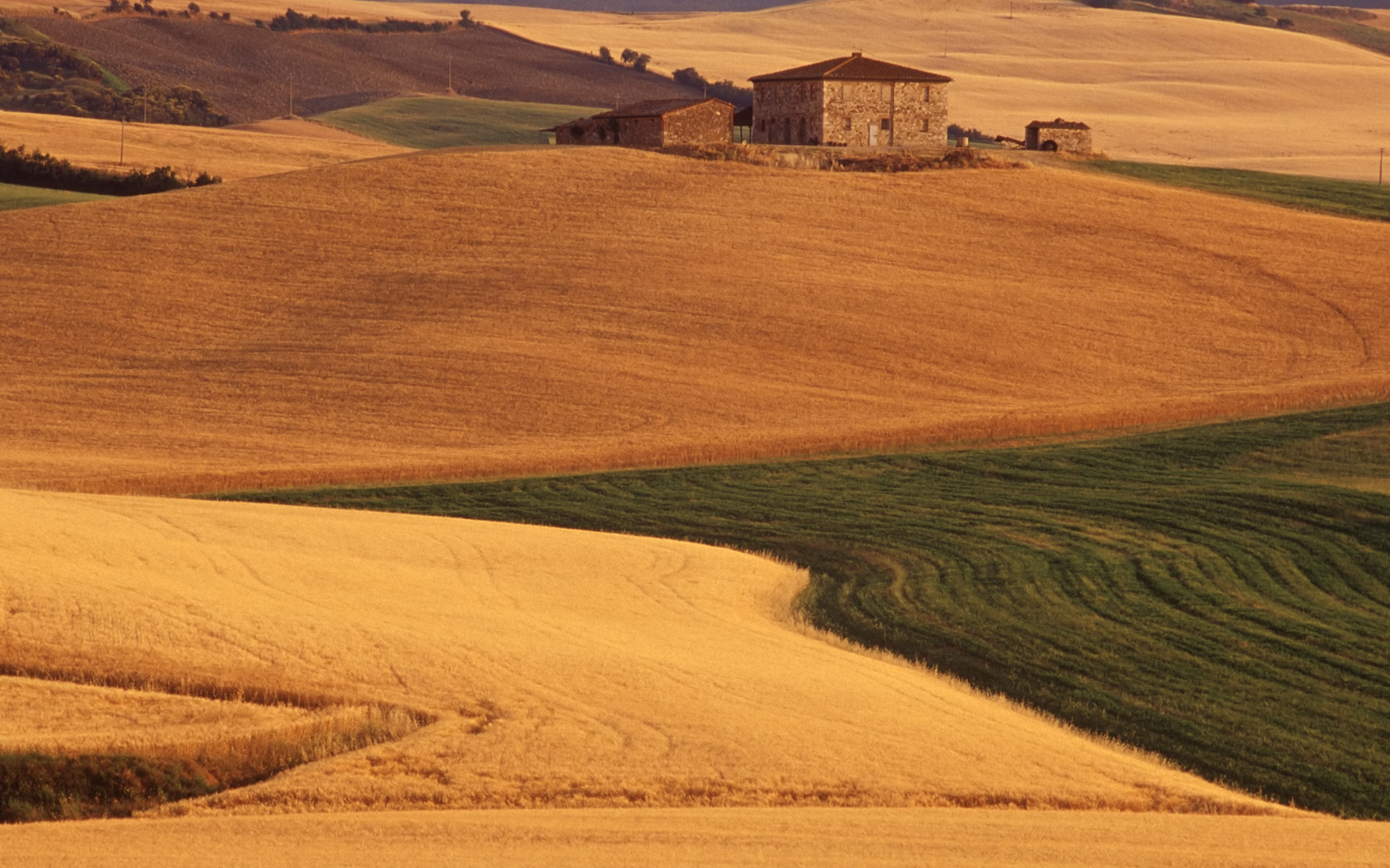 Paysage typique de la campagne toscane