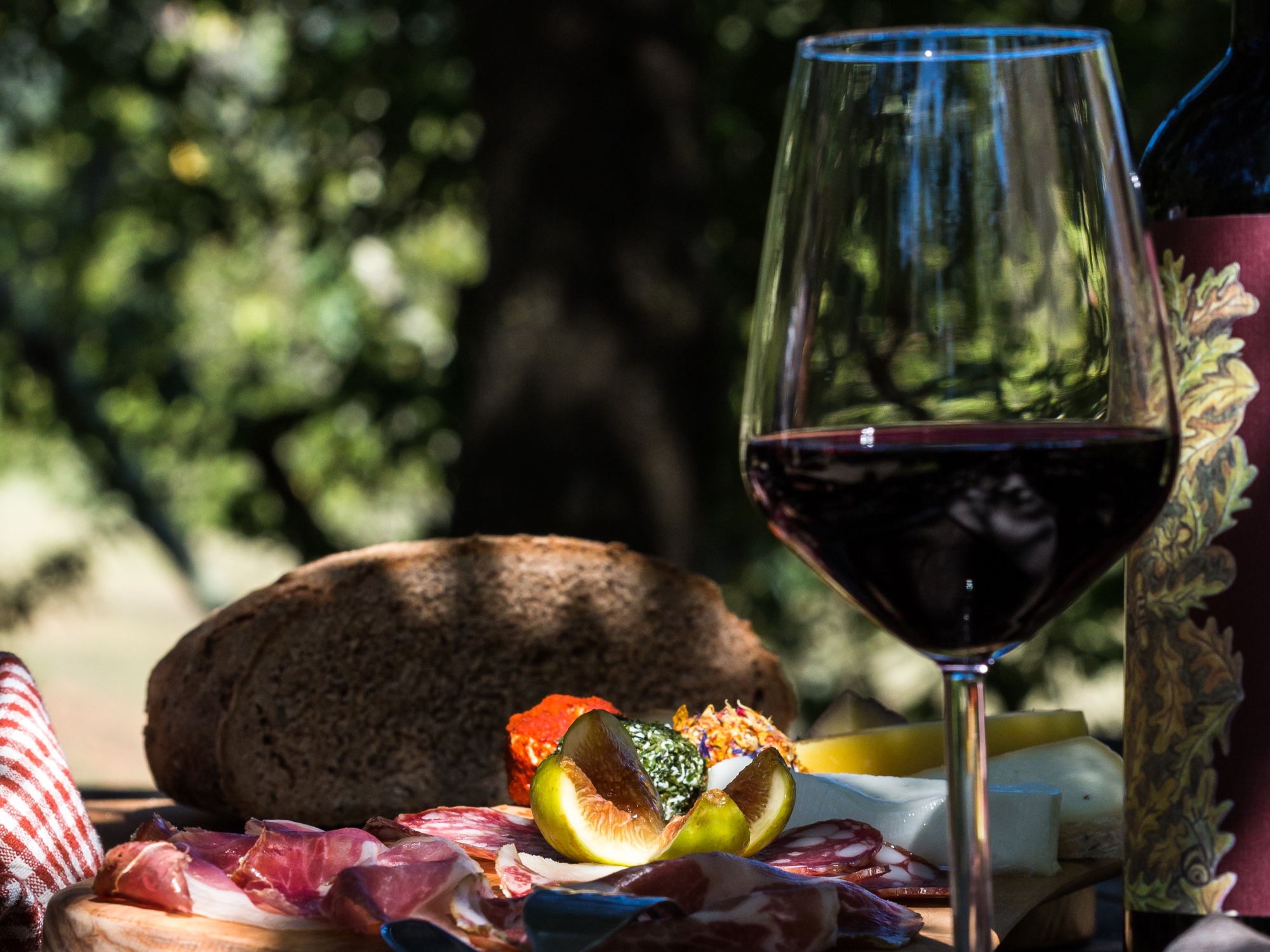 Dégustation de produits typiques de la Côte des Étrusques : vin et charcuterie