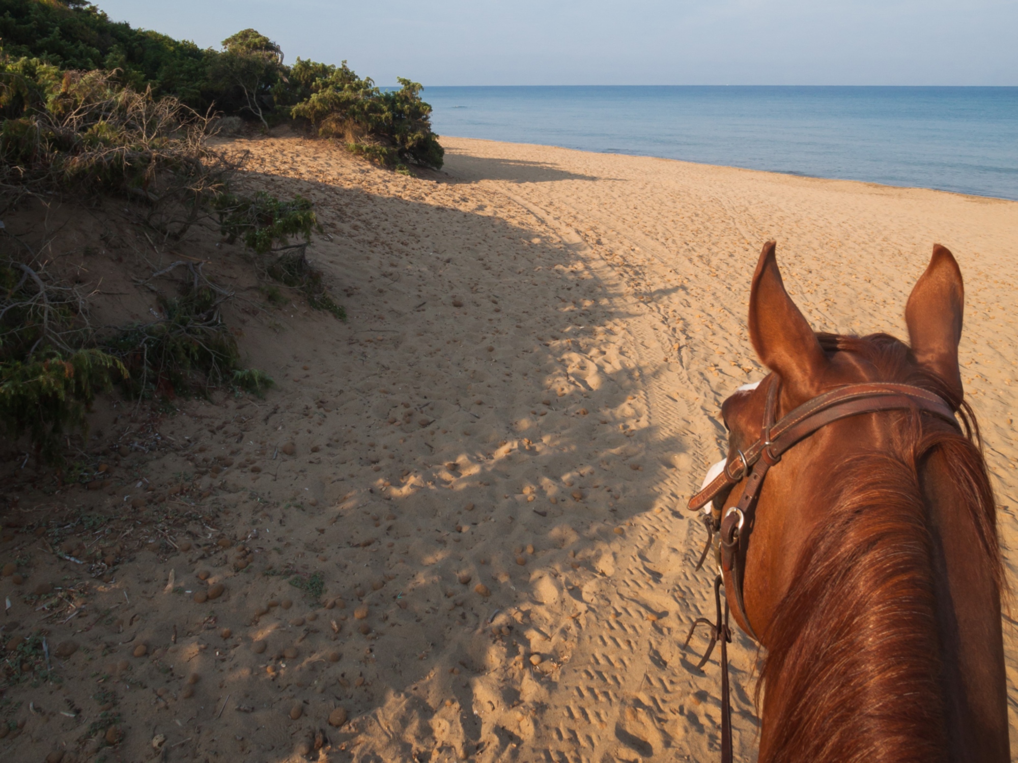 En cheval sur la plage