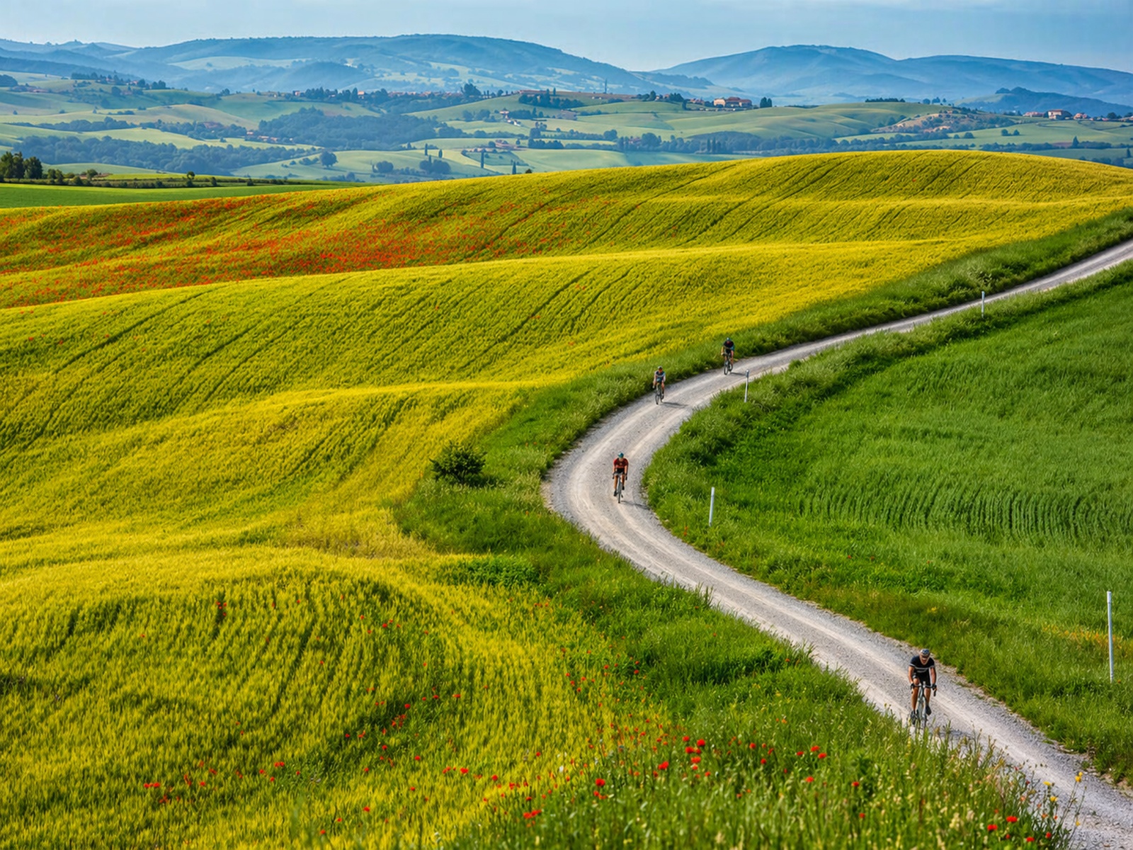 Ciclisti percorrono una strada bianca sterrata che si snoda nelle Crete Senesi, con le colline toscane sullo sfondo