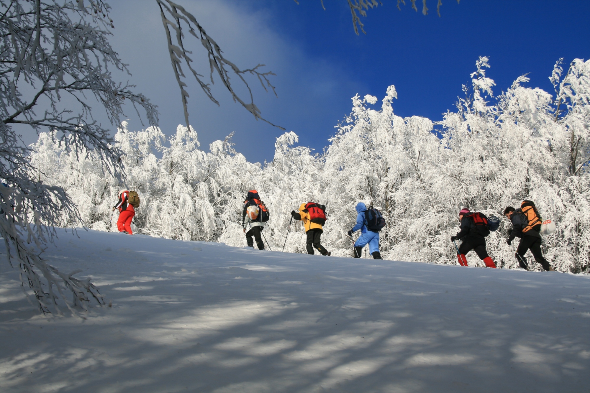 Randonneurs en raquettes à neige