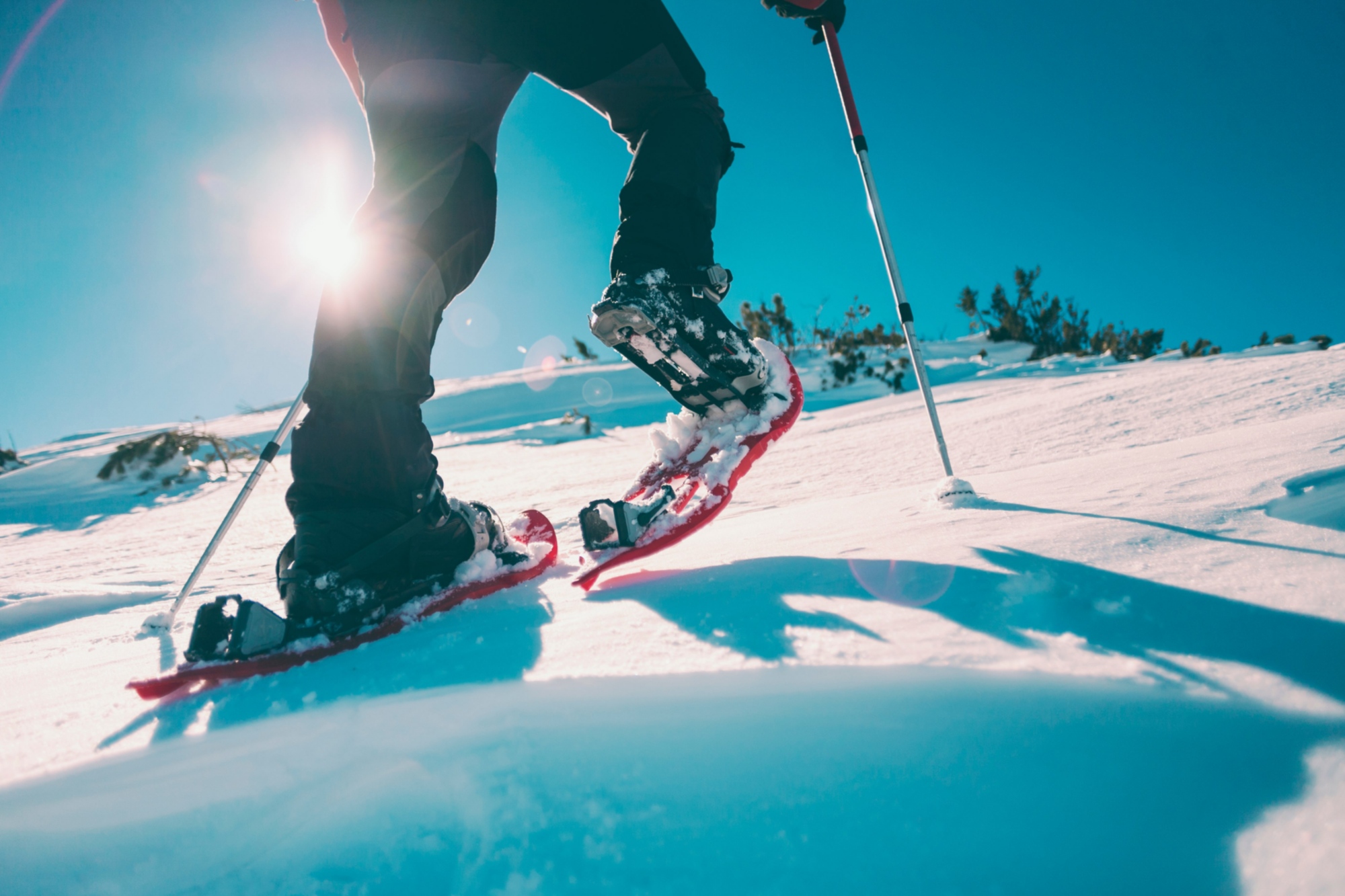 Excursion en raquettes à neige