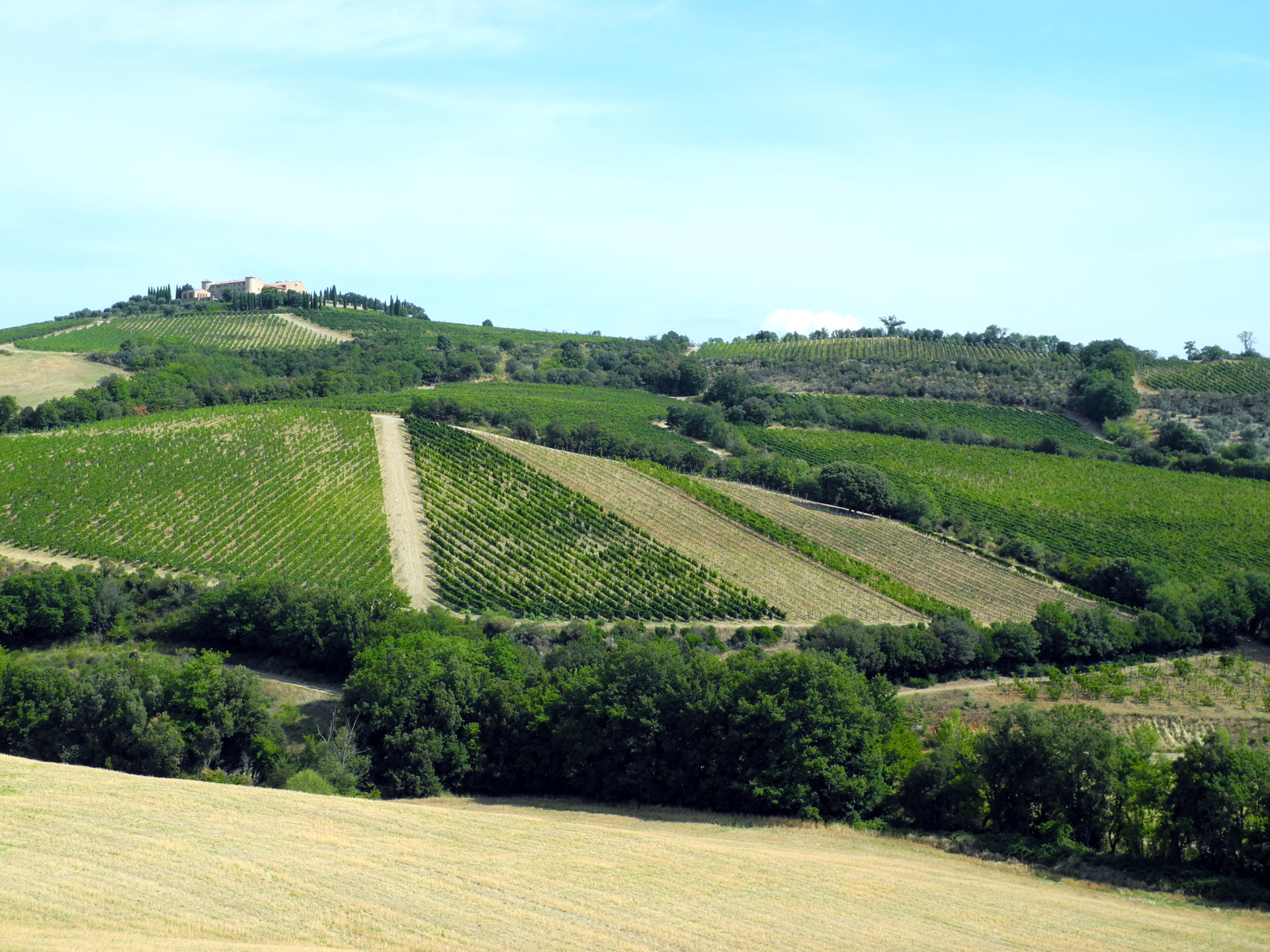 vignobles de Colle Massari