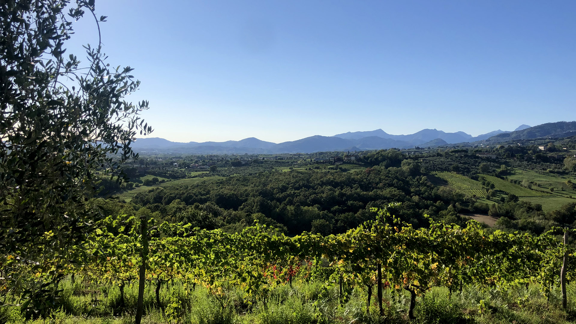 panorama des collines de Lucques - r.giomi