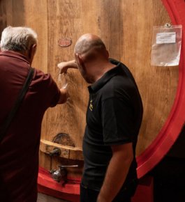 Visita in cantina dell'azienda agricola che produce i vini pregiati della Val d'Orcia come Brunello e Nobile di Montalcino.
