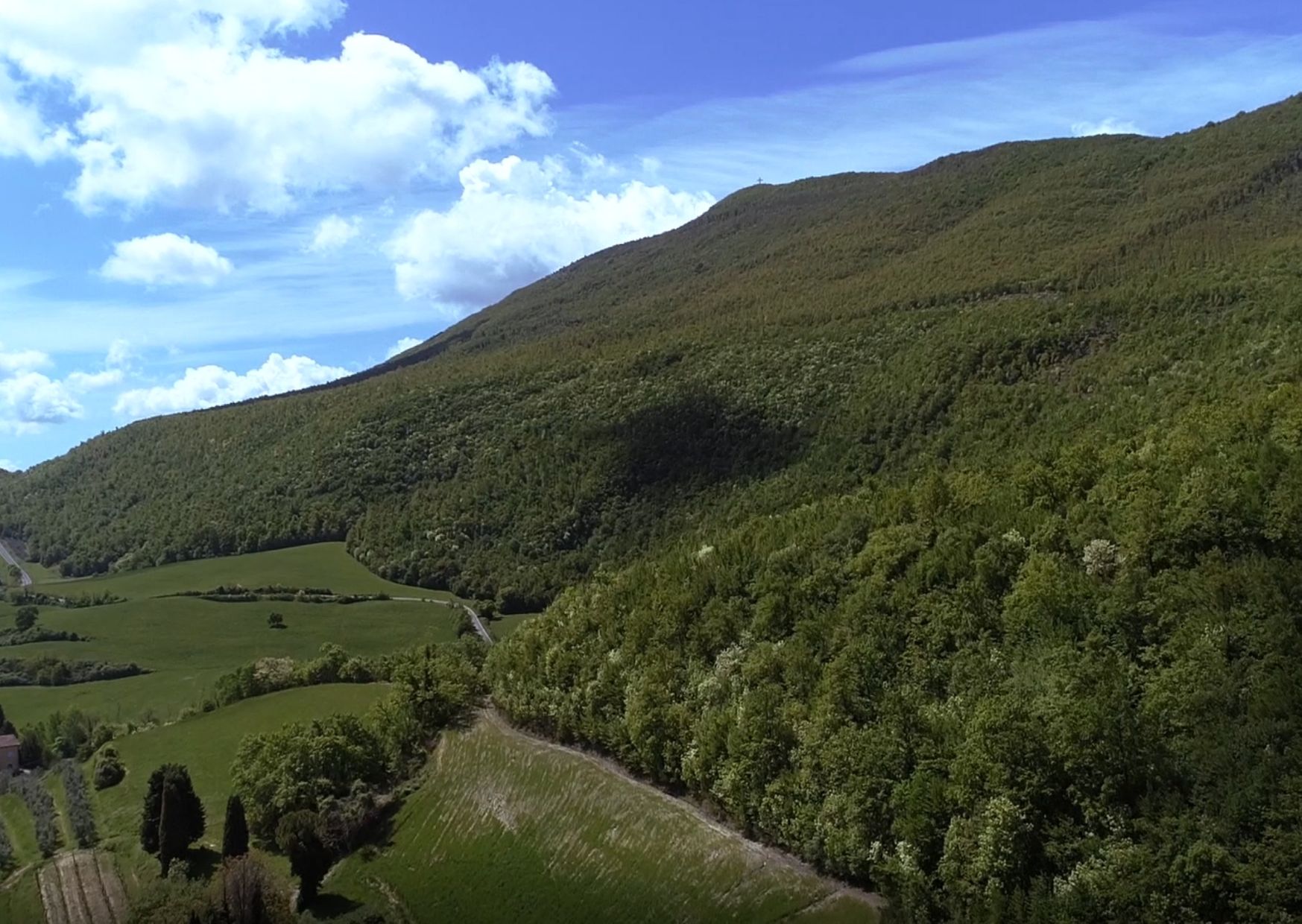 Cetona collines de Belverde