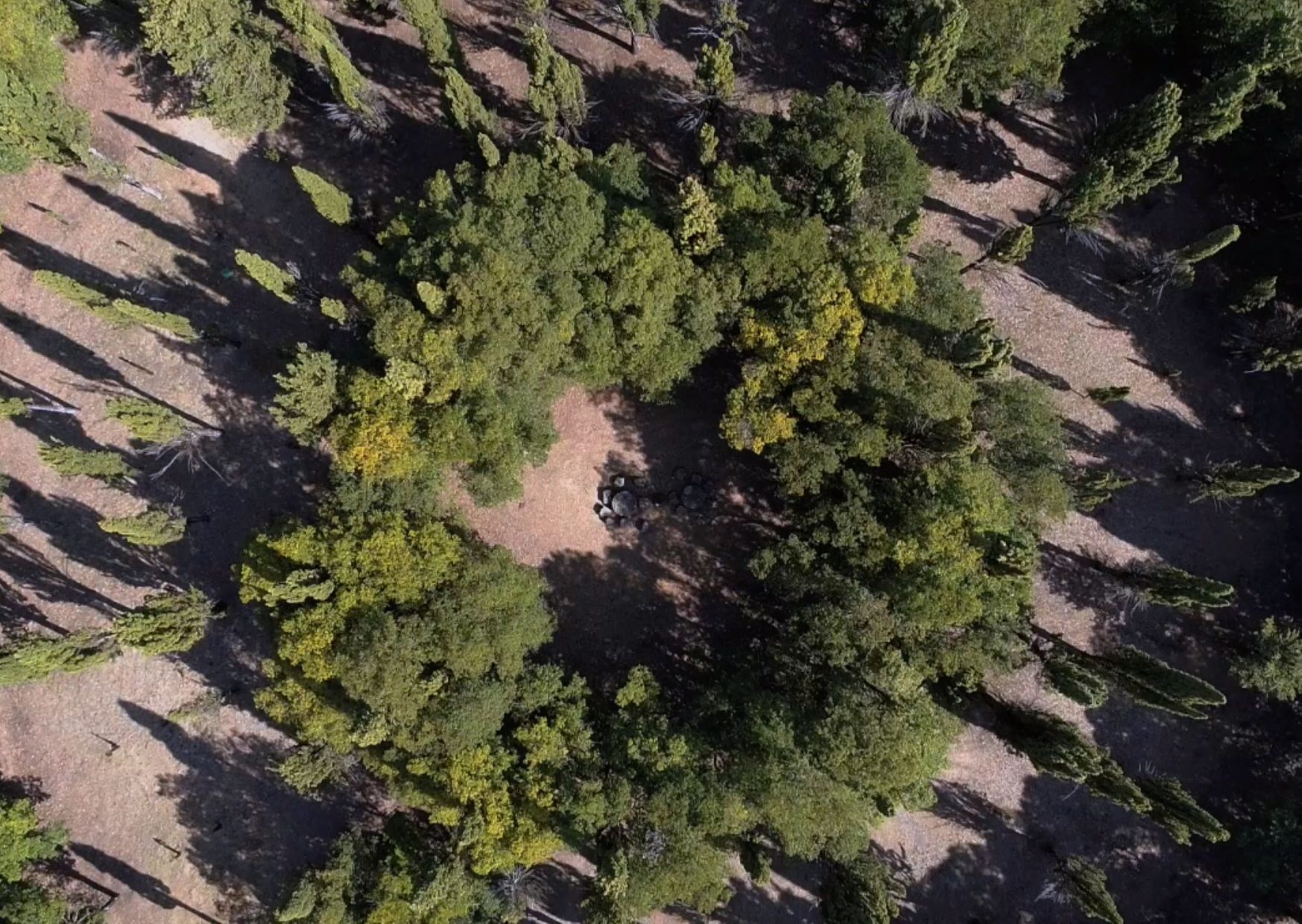 Parc Il Tondo à Montefollonico