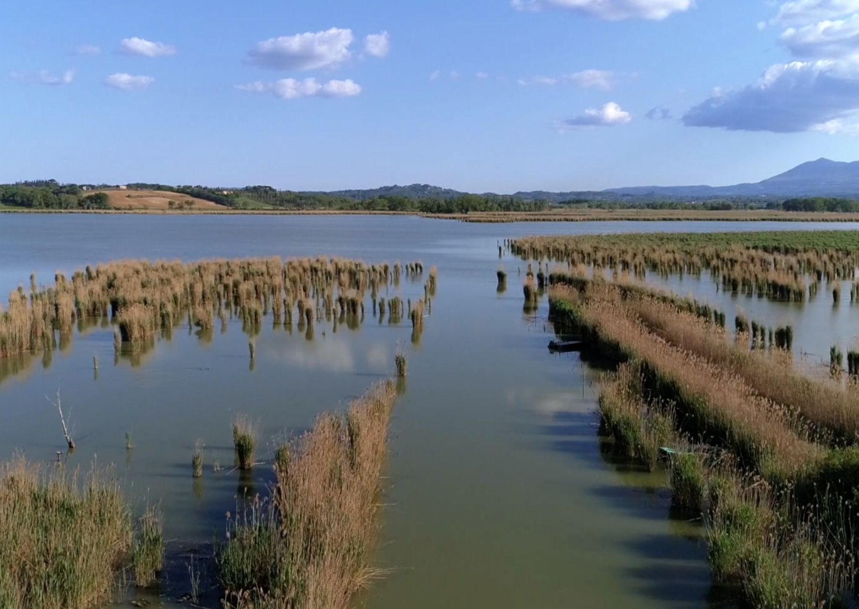 Réserve Naturelle du lac de Montepulciano