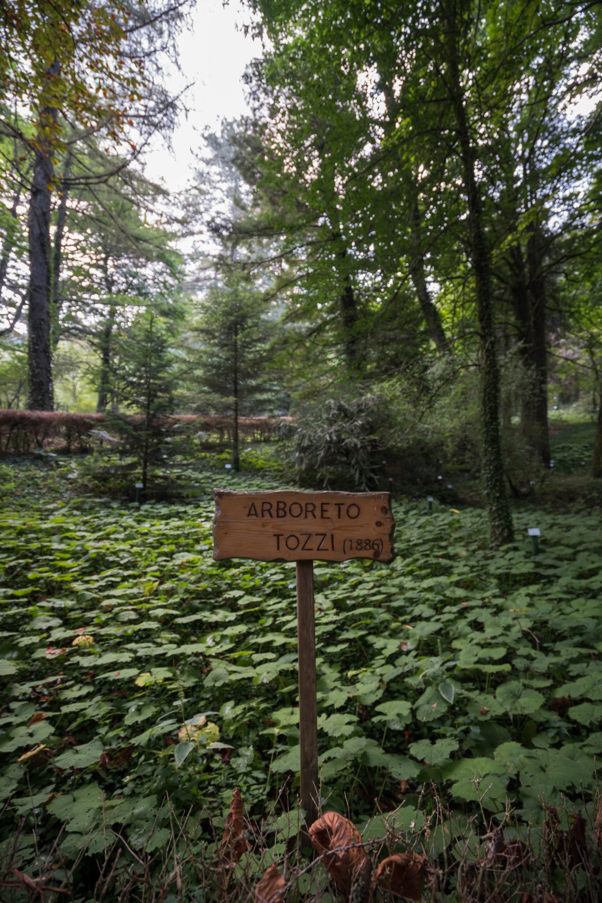 Les Arboretums expérimentaux de Vallombrosa