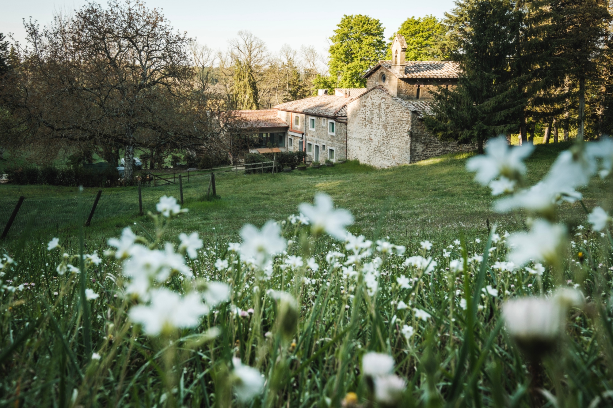 Albergo Villa San Michele bike hotel in Chianti