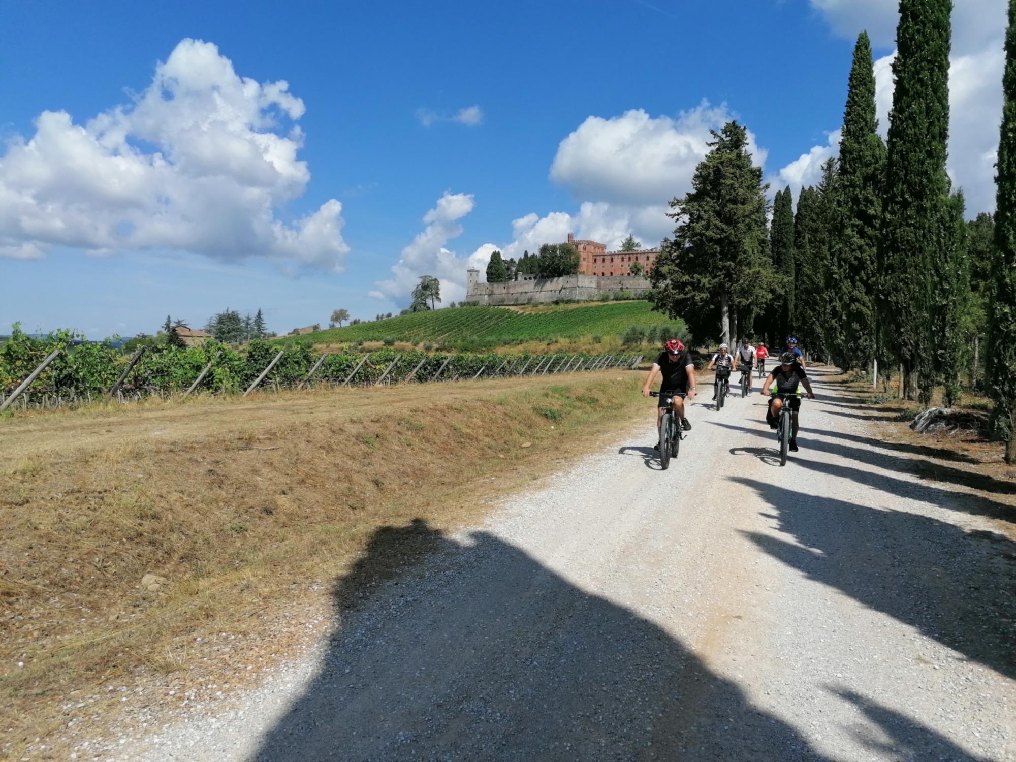 Bike tour of the Eroica, through the Chianti, the Crete Senesi and the Val d'Orcia