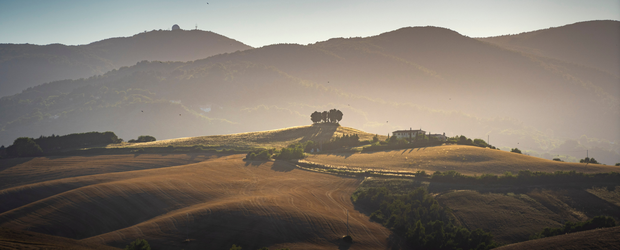 Colle Pinzuti - Fauglia