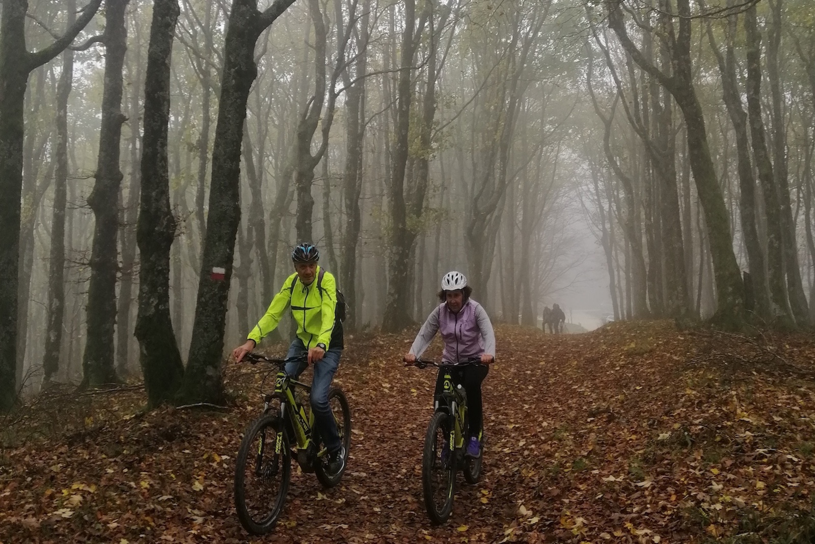 Forêt de la lama sanctuaire de la verna