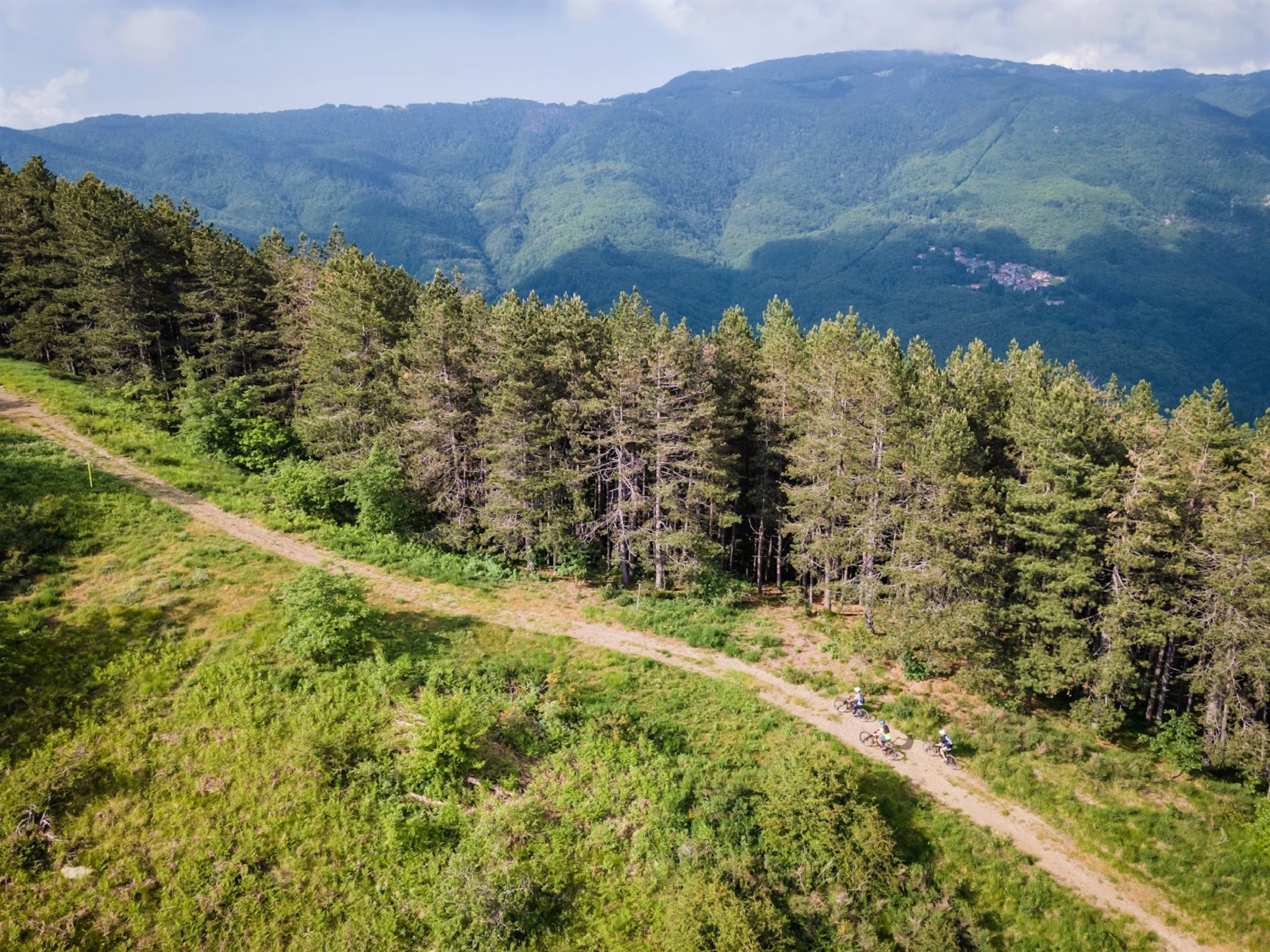 Forêt de Brattello