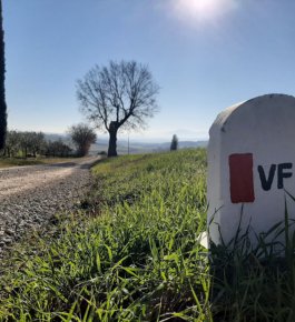 The Via Francigena from Siena to Radicofani