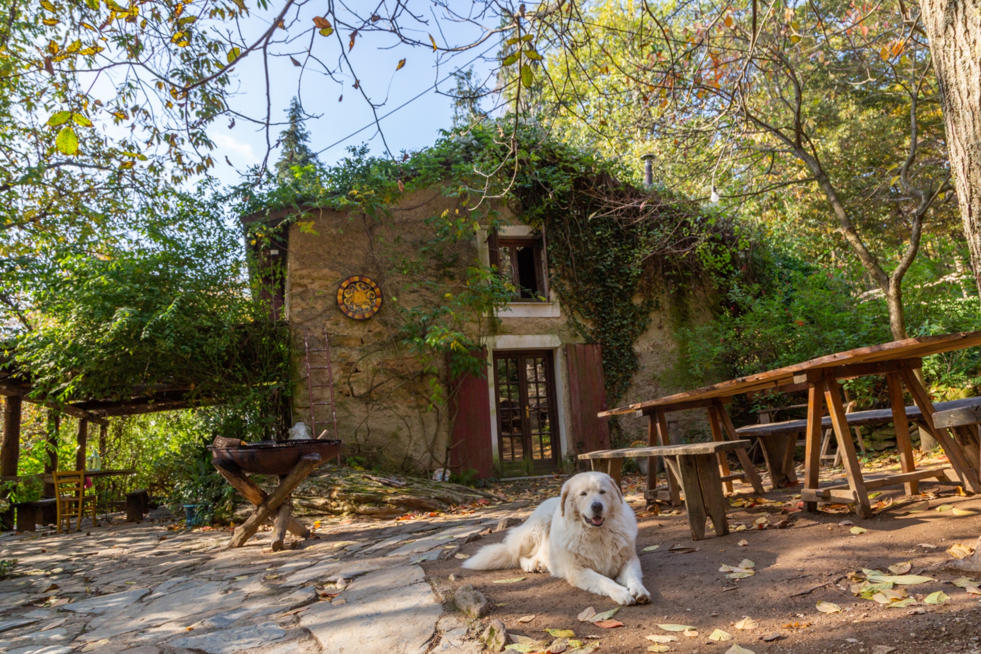 Mont Brugiana - Riviera Apuana Terra Scolpita