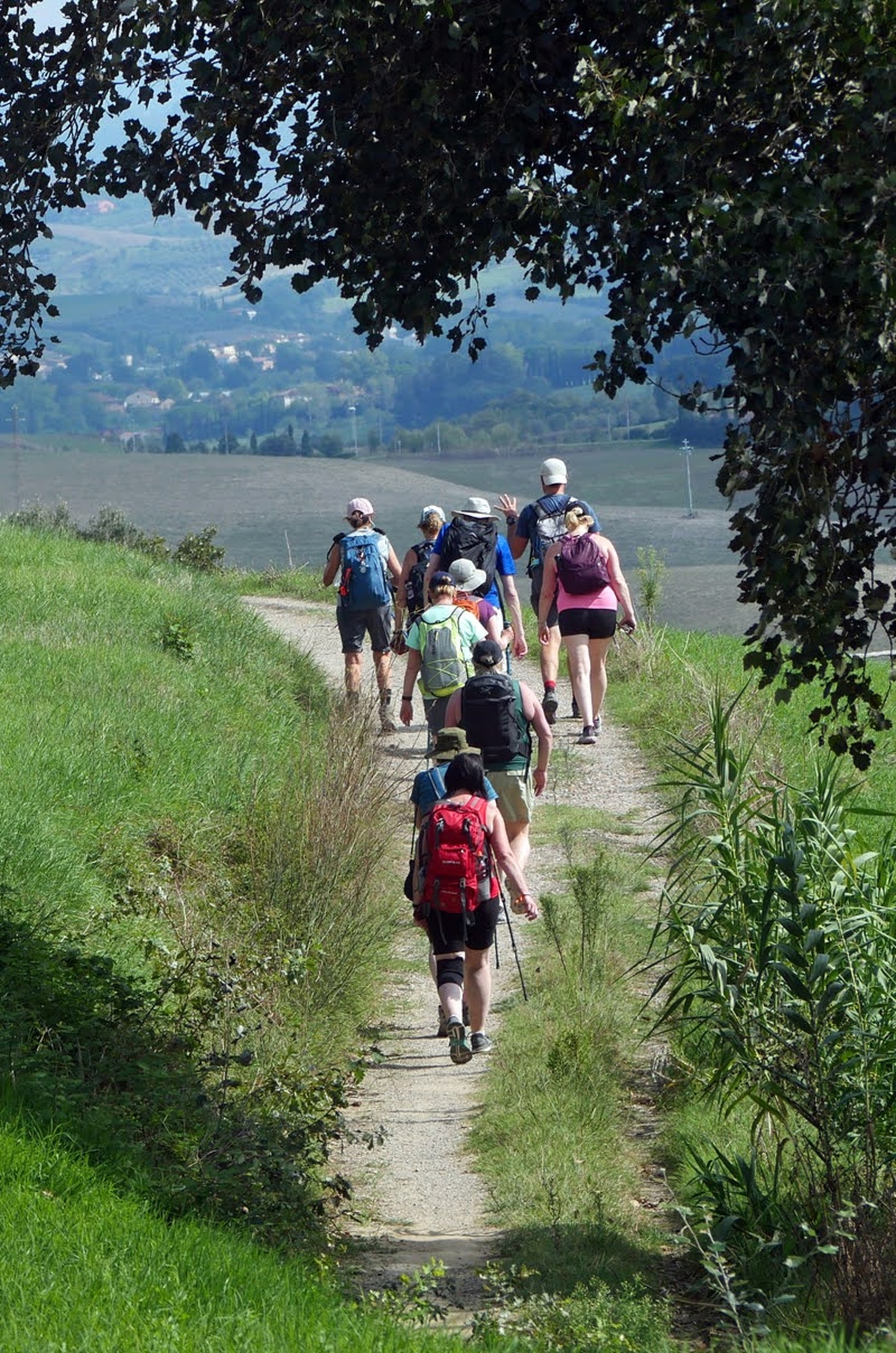 Via Francigena a Monteriggioni