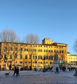 Giro panoramico di Lucca su due ruote