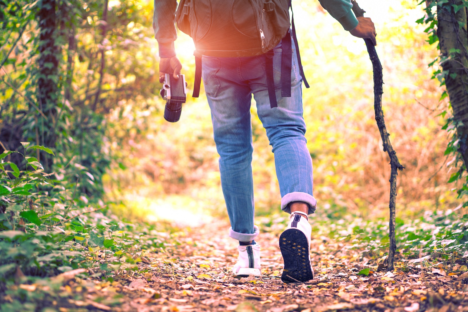 Marcher dans la nature