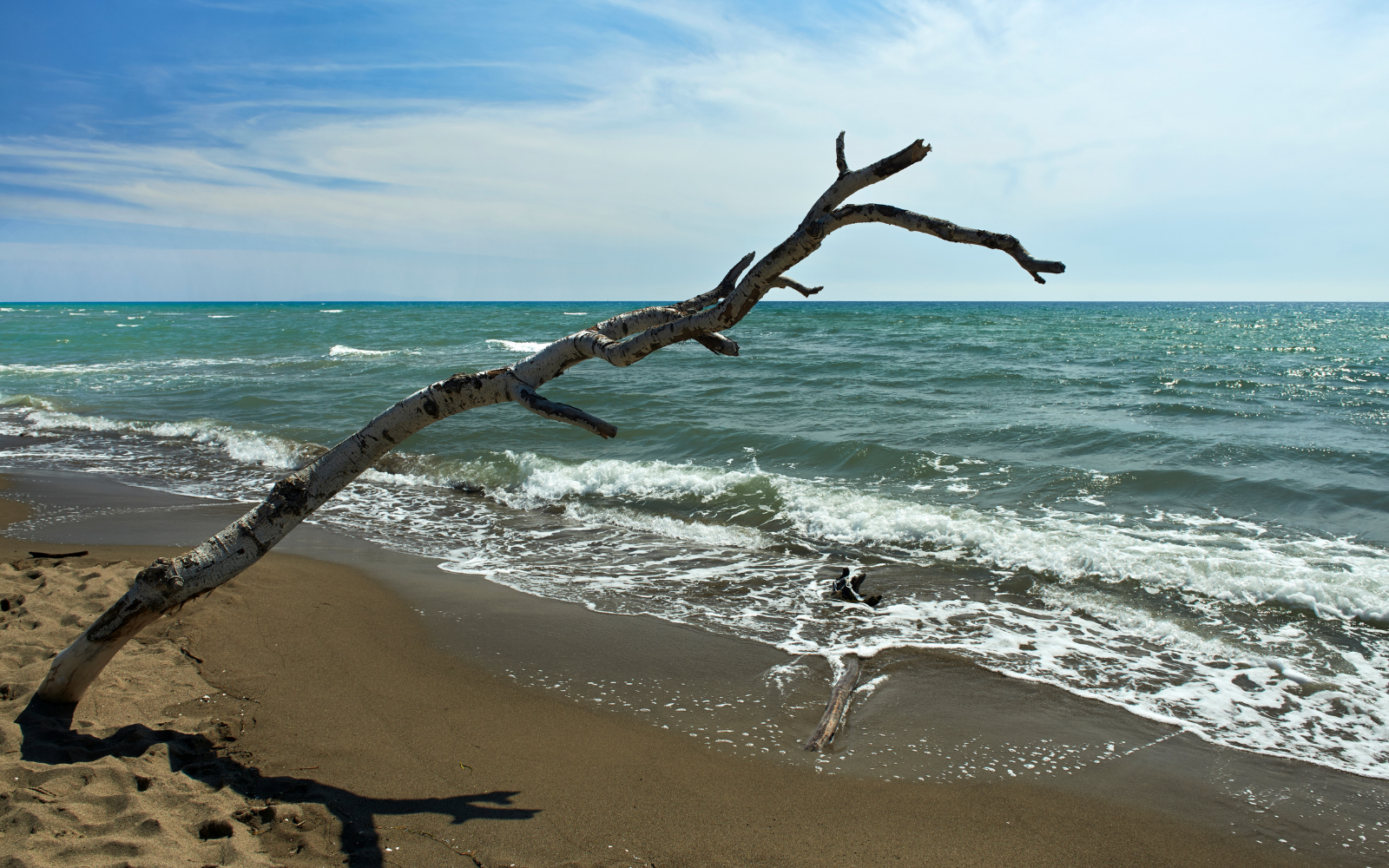 Parc naturel de la Maremme