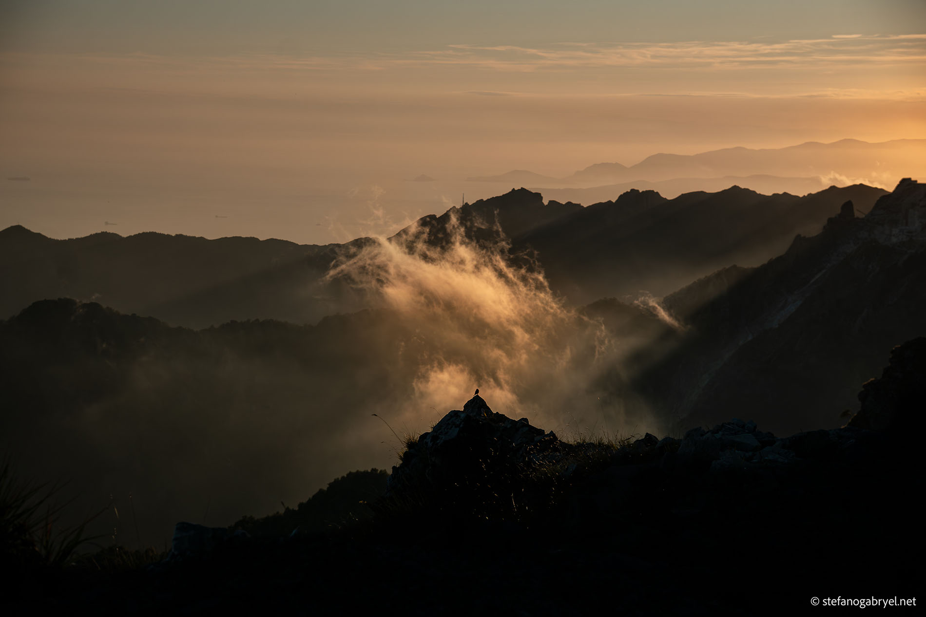 Vista panoramica all'alba dalle creste delle Alpi Apuane lungo la Marmifera del Corchia: cime montuose in controluce avvolte da nebbie dorate, un piccolo uccello posato su uno sperone roccioso in primo piano e, sullo sfondo, il profilo sfumato della costa e delle isole dell'arcipelago toscano