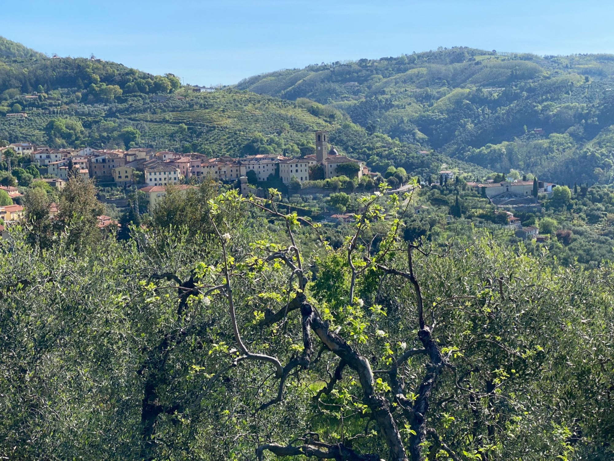 Le paysage de Massa e Cozzile