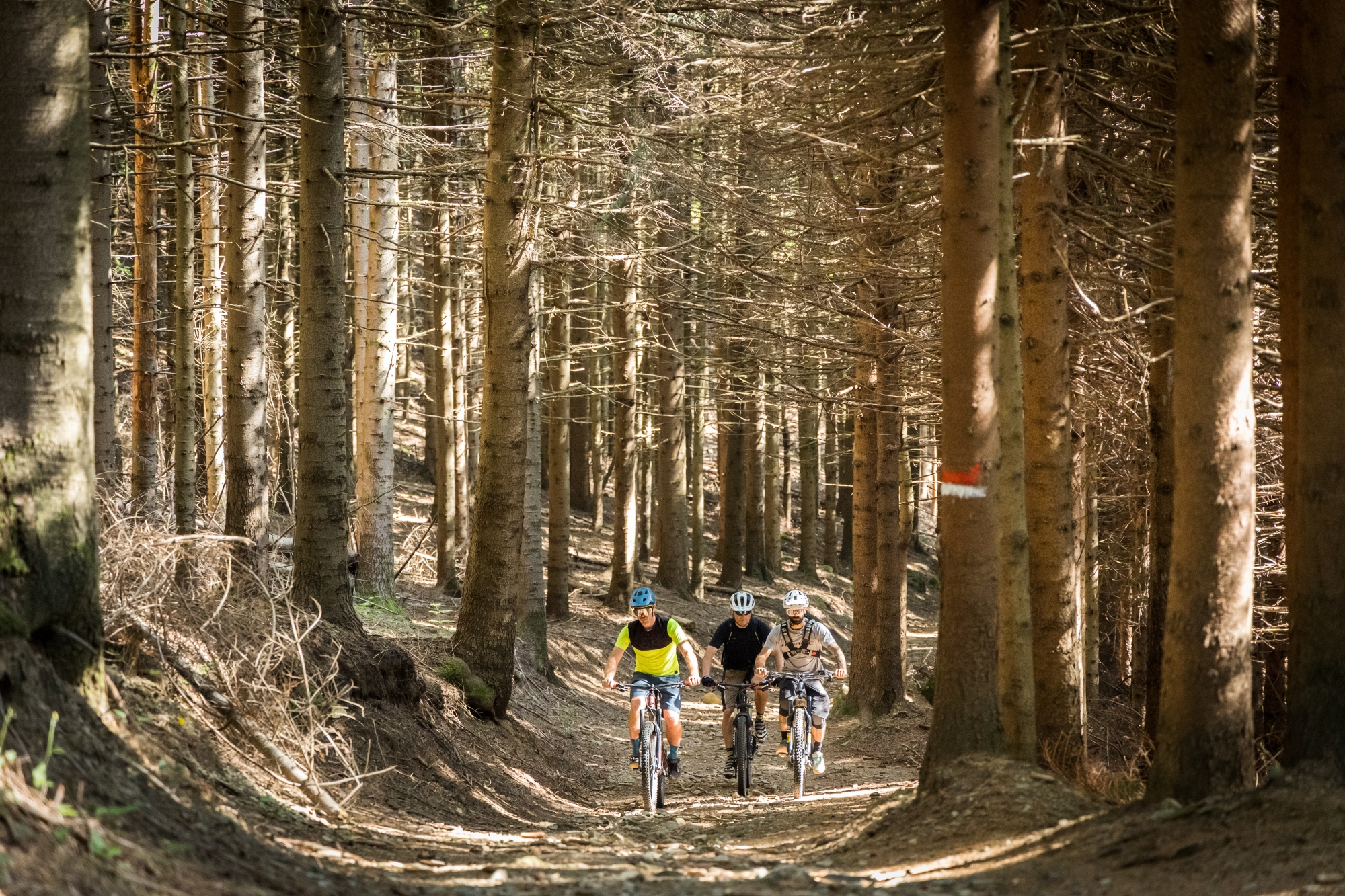 La forêt de Brattello à vélo