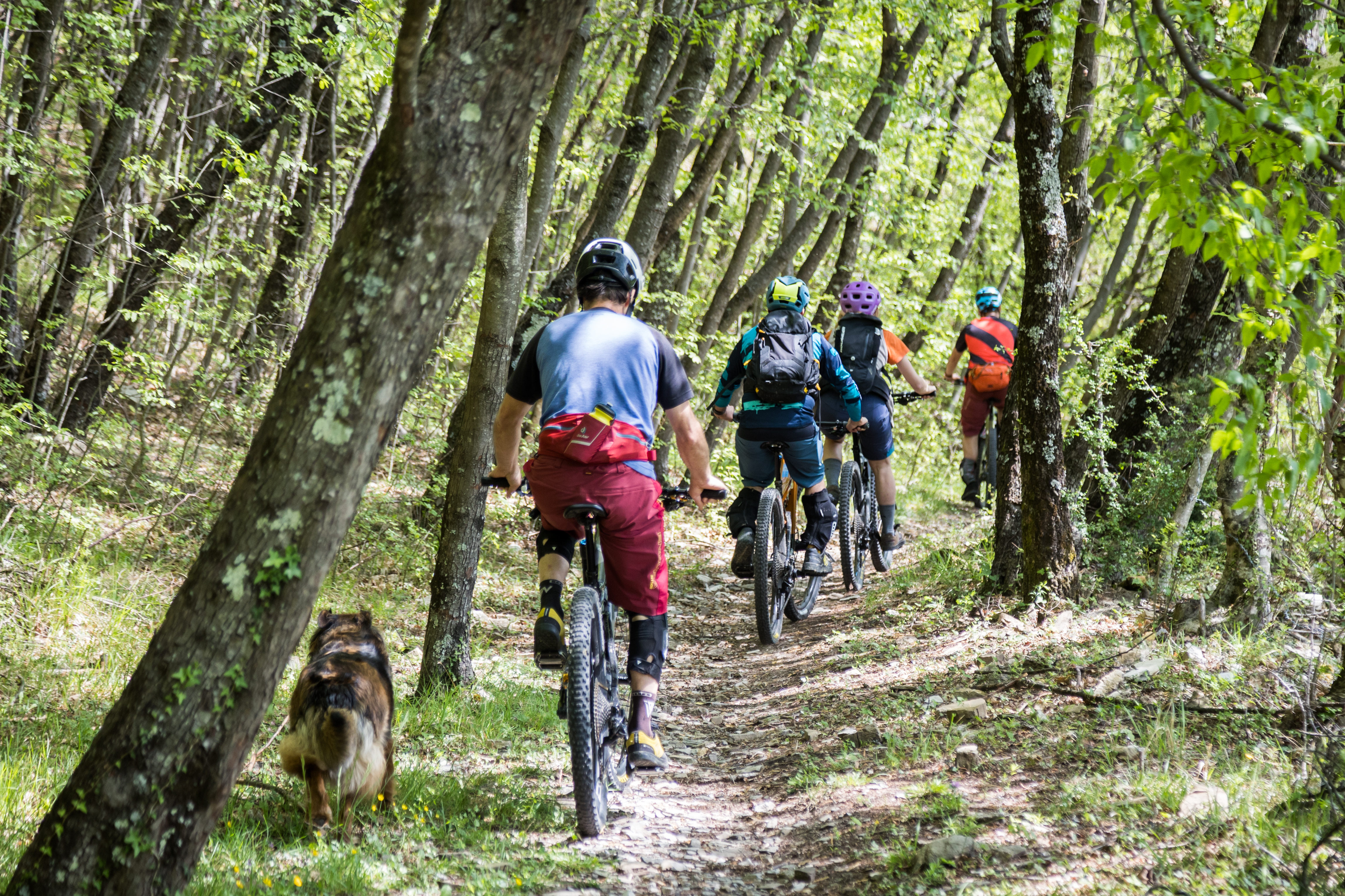 Les sentiers du Lunigiana Bike Area en VTT