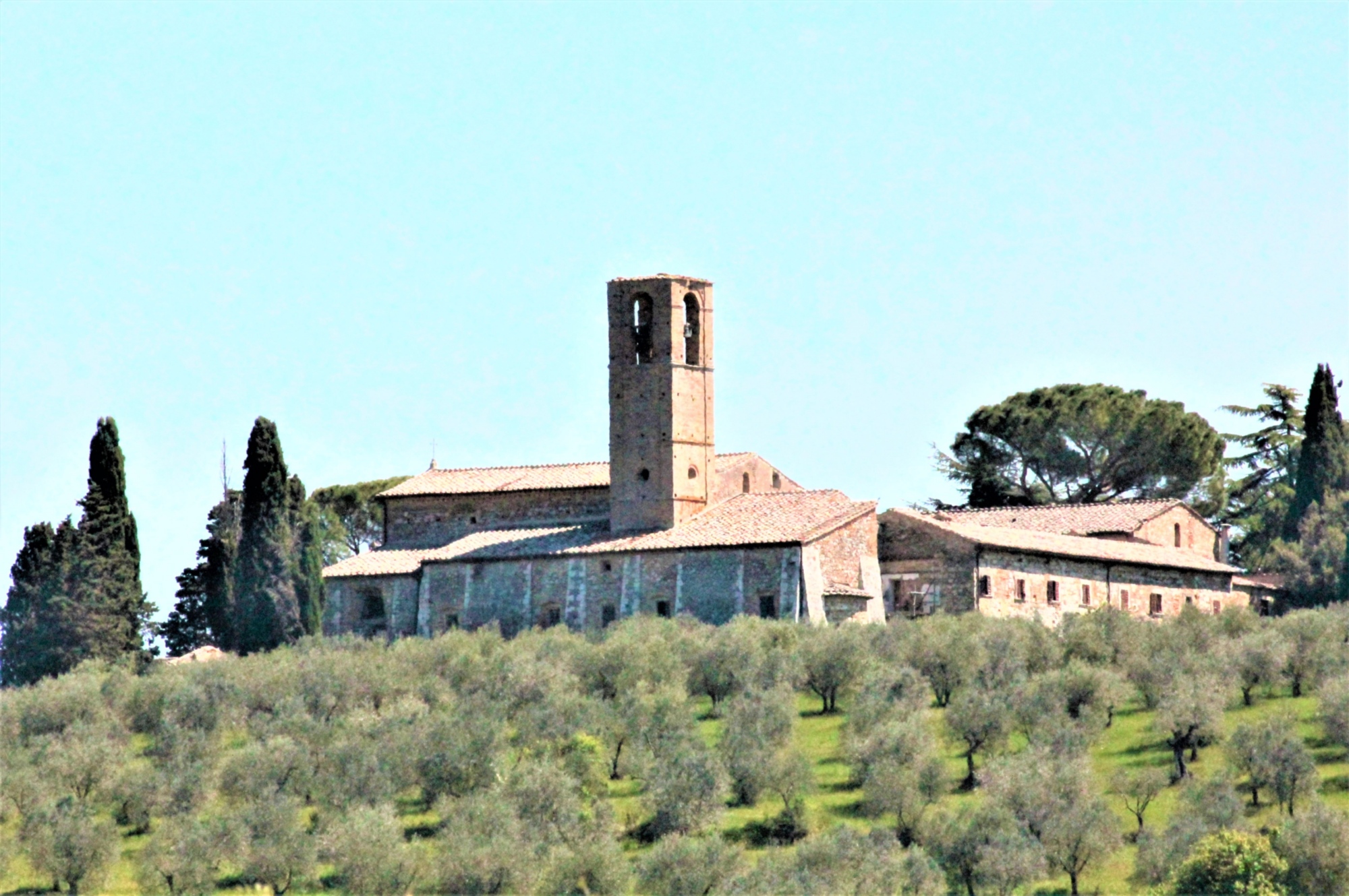 Escursione ad anello tra le colline di San Gimignano