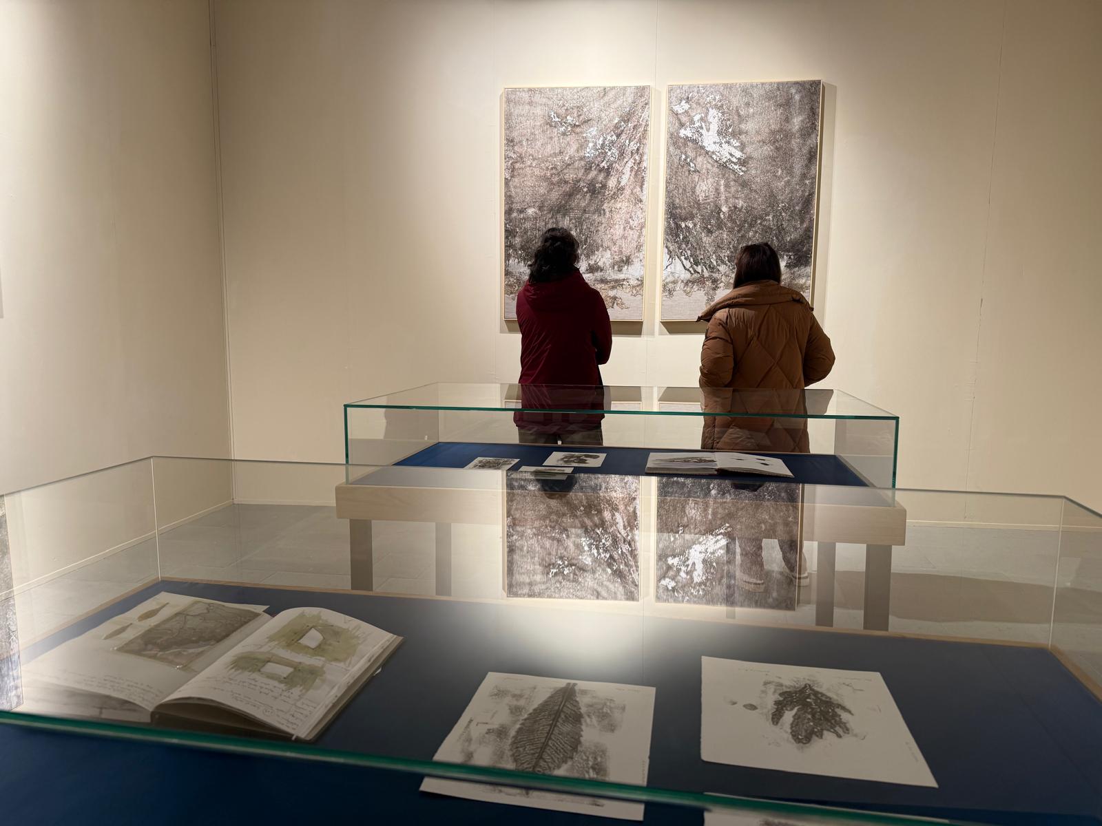 « Le Naturografie » Roberto Ghezzi