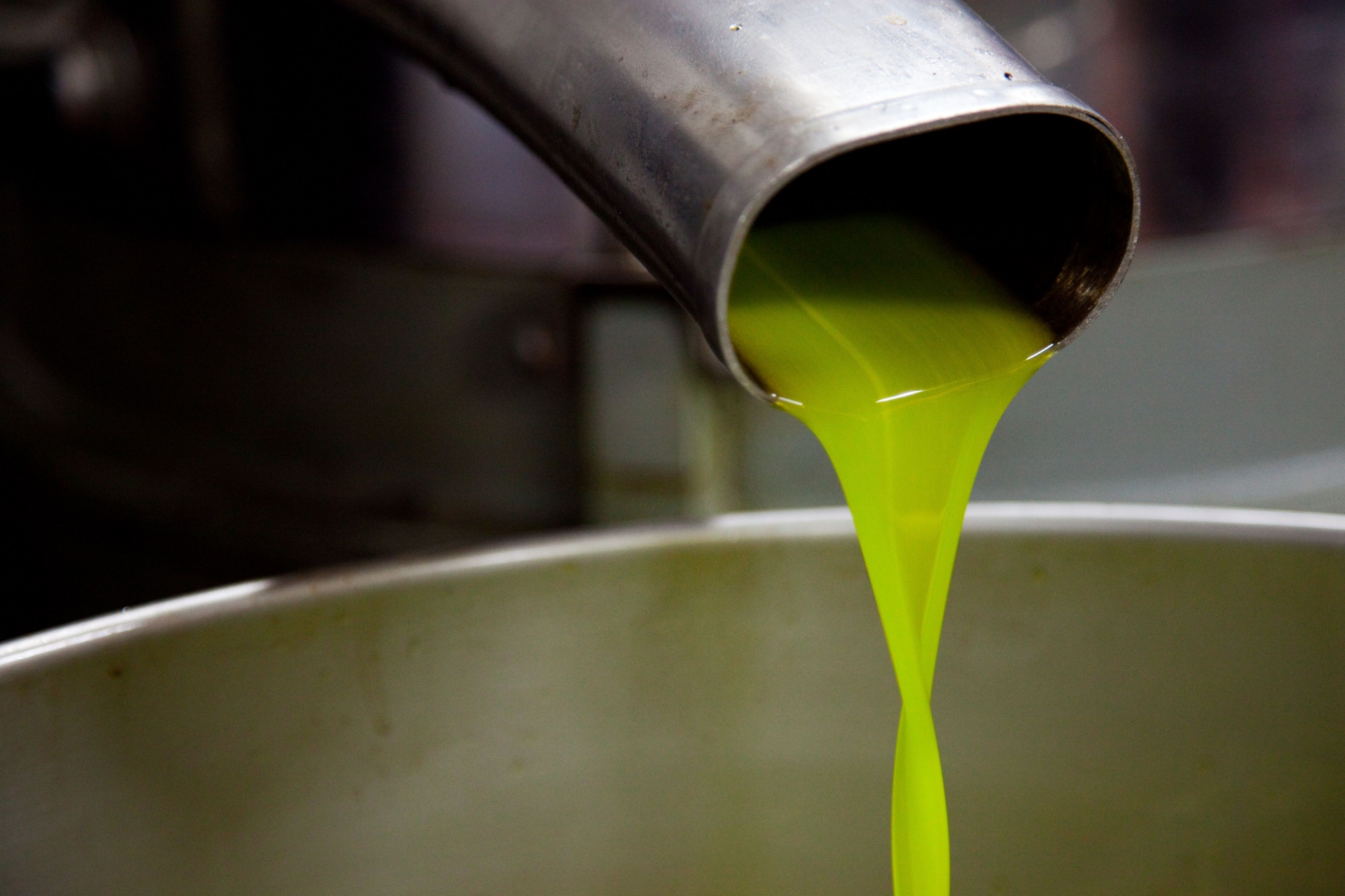 Image d’une huile fraîchement pressée, avec sa couleur verte typique