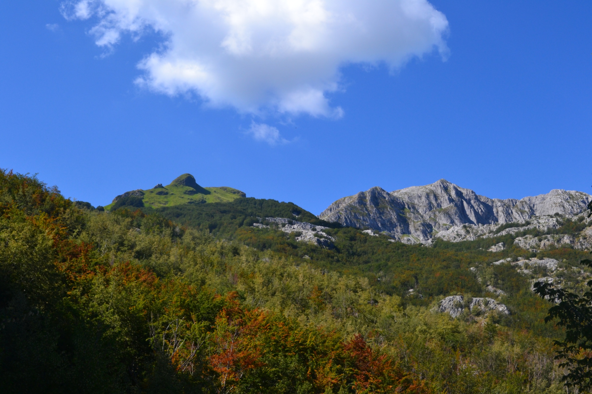 Panorama du massif montagneux des Panie